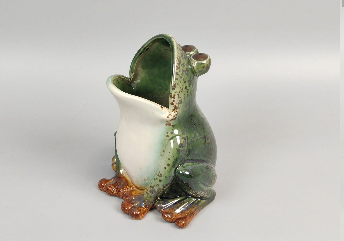Open Mouth Frog