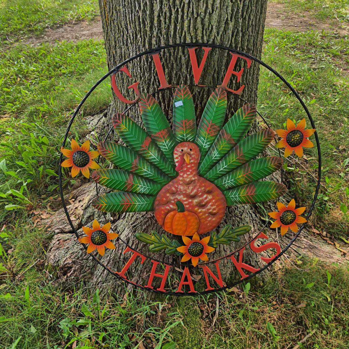 Give Thanks Turkey