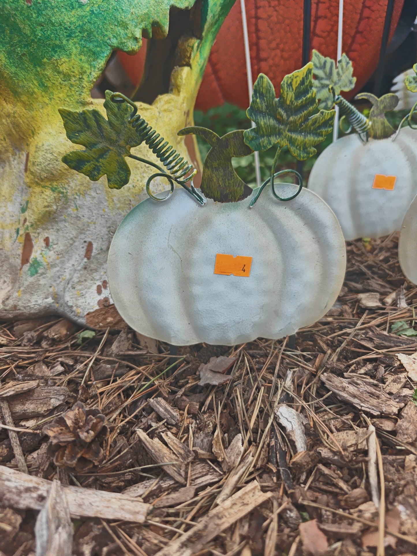 Mini Pumpkins