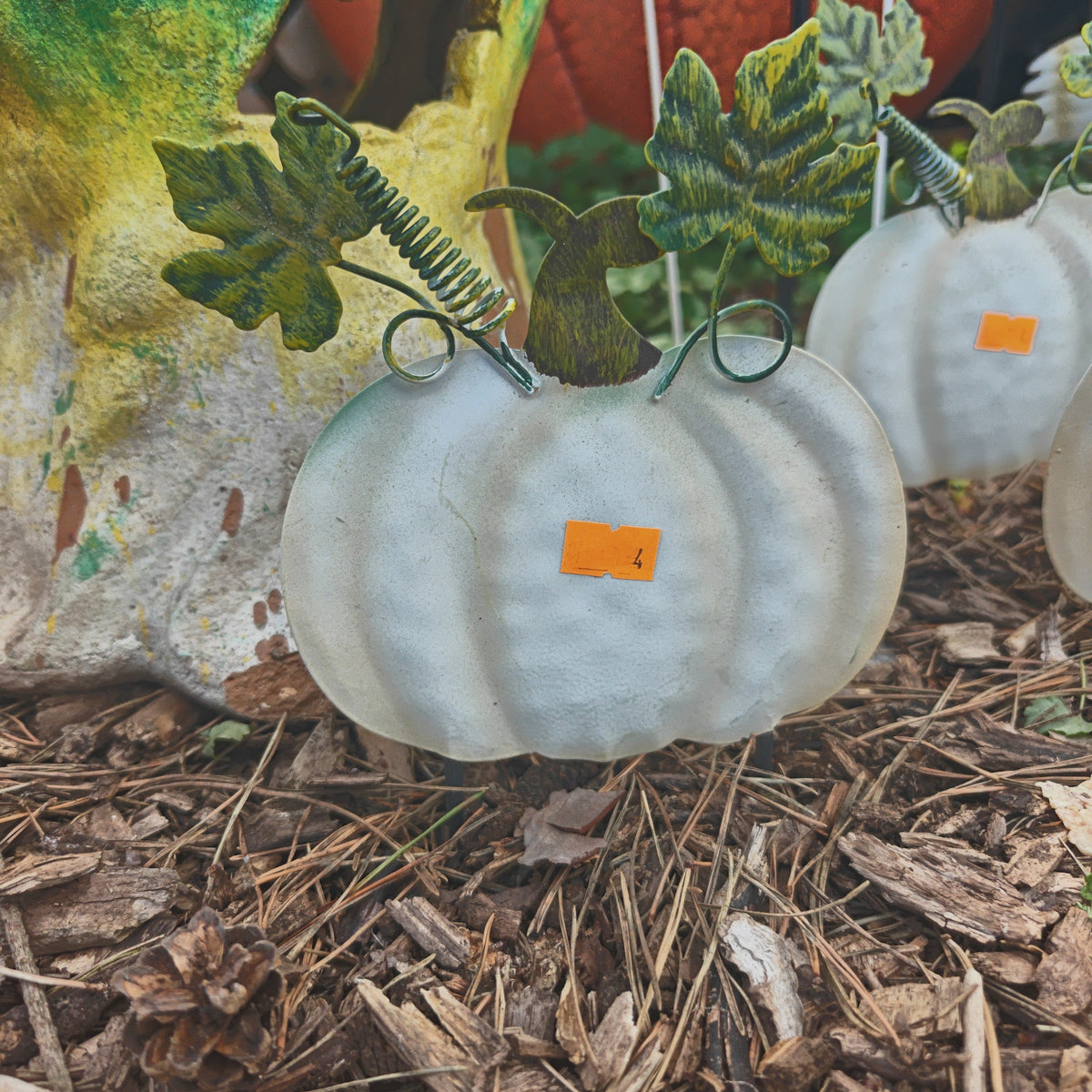 Mini Pumpkins