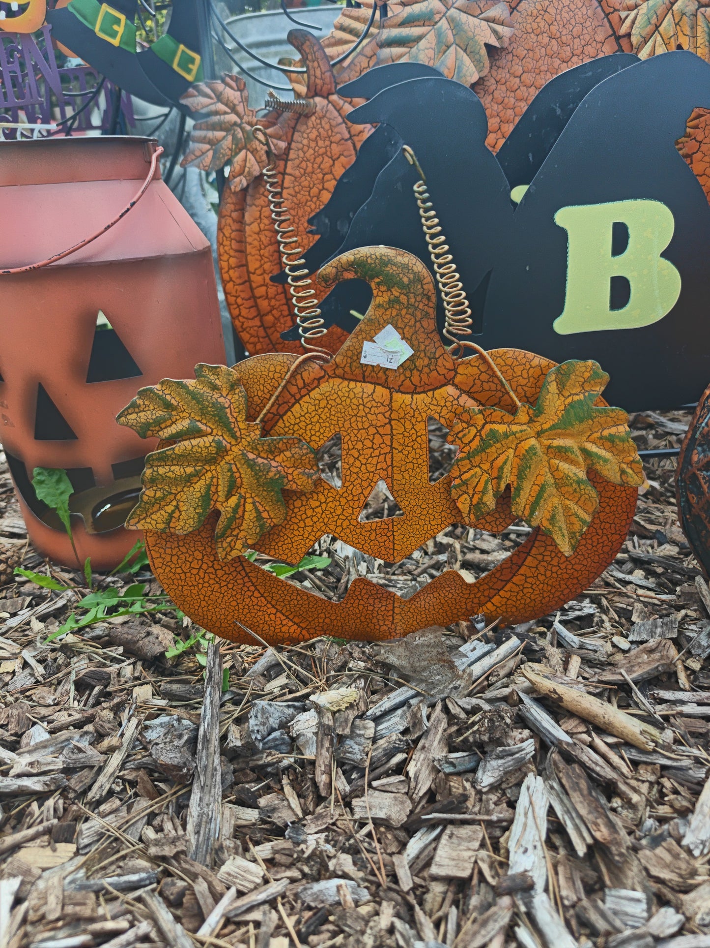 Small Jack Pumpkin