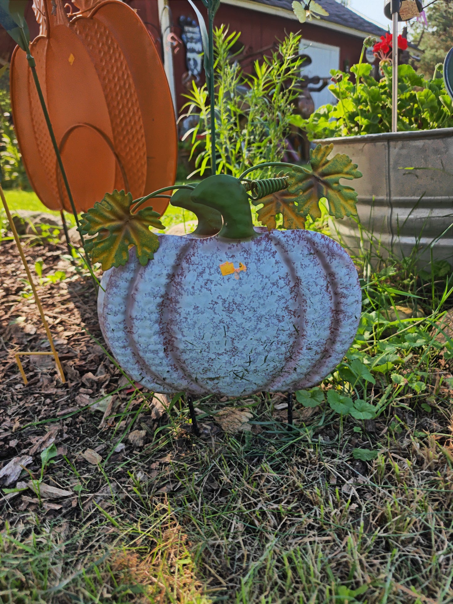 Small Pumpkin
