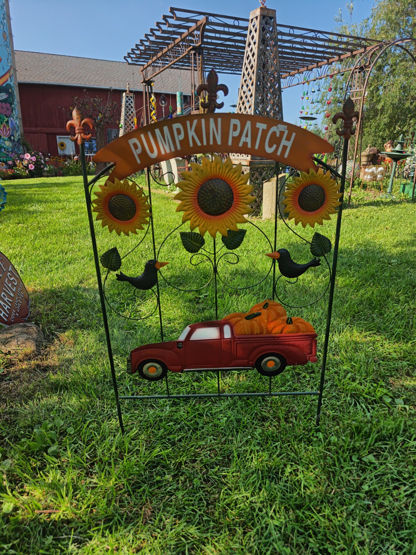 Pumpkin Patch With Truck