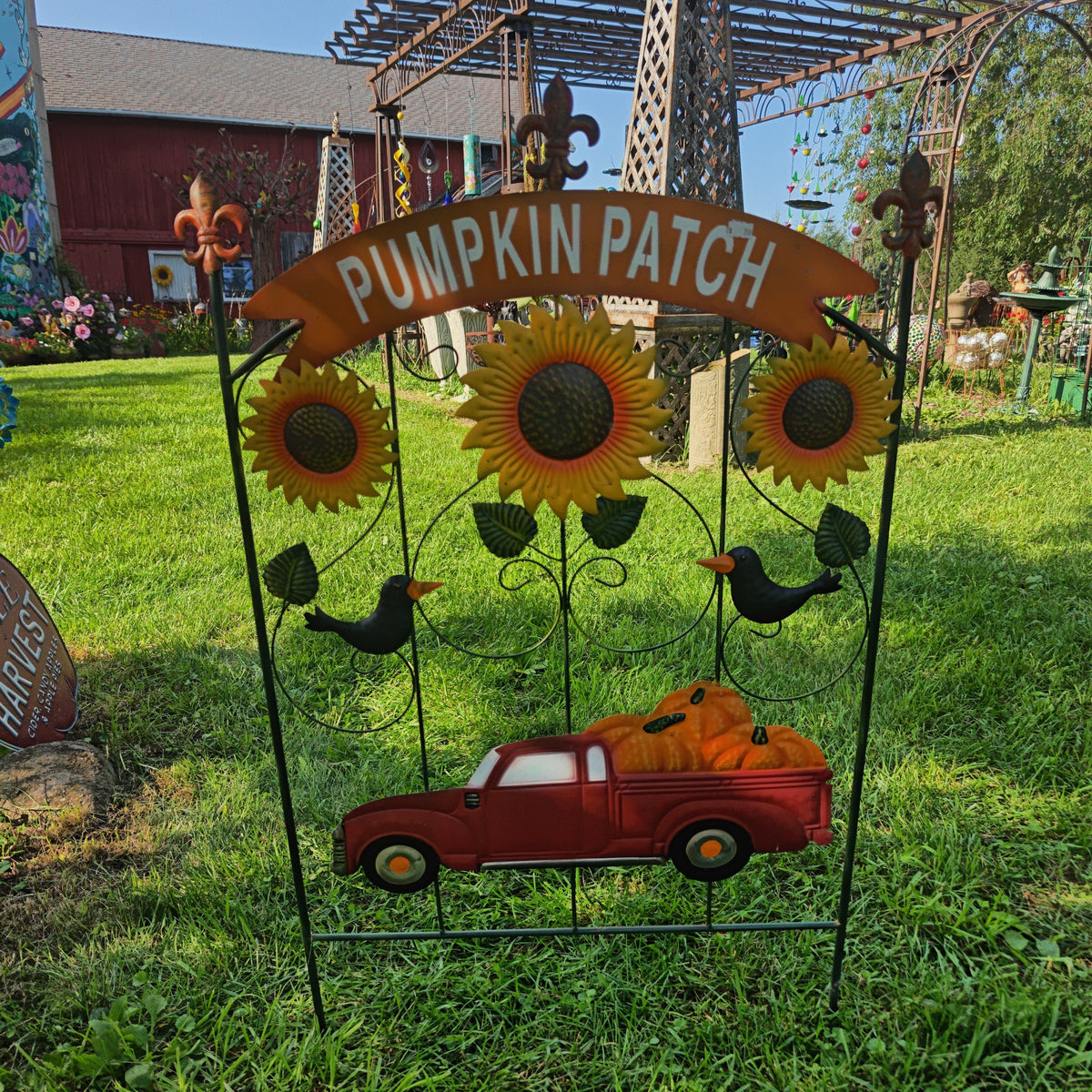 Pumpkin Patch With Truck