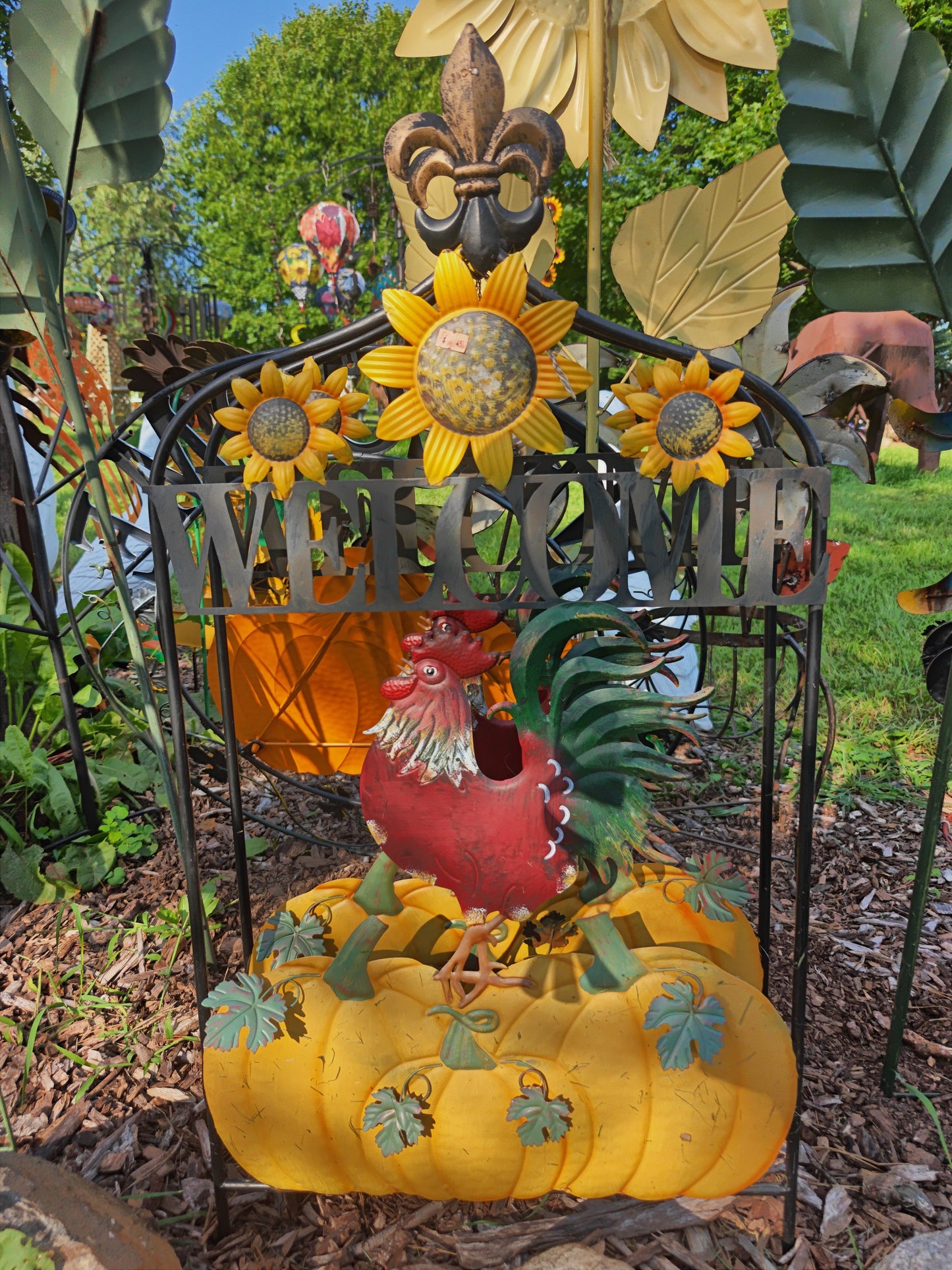 Welcome Rooster On Pumpkins