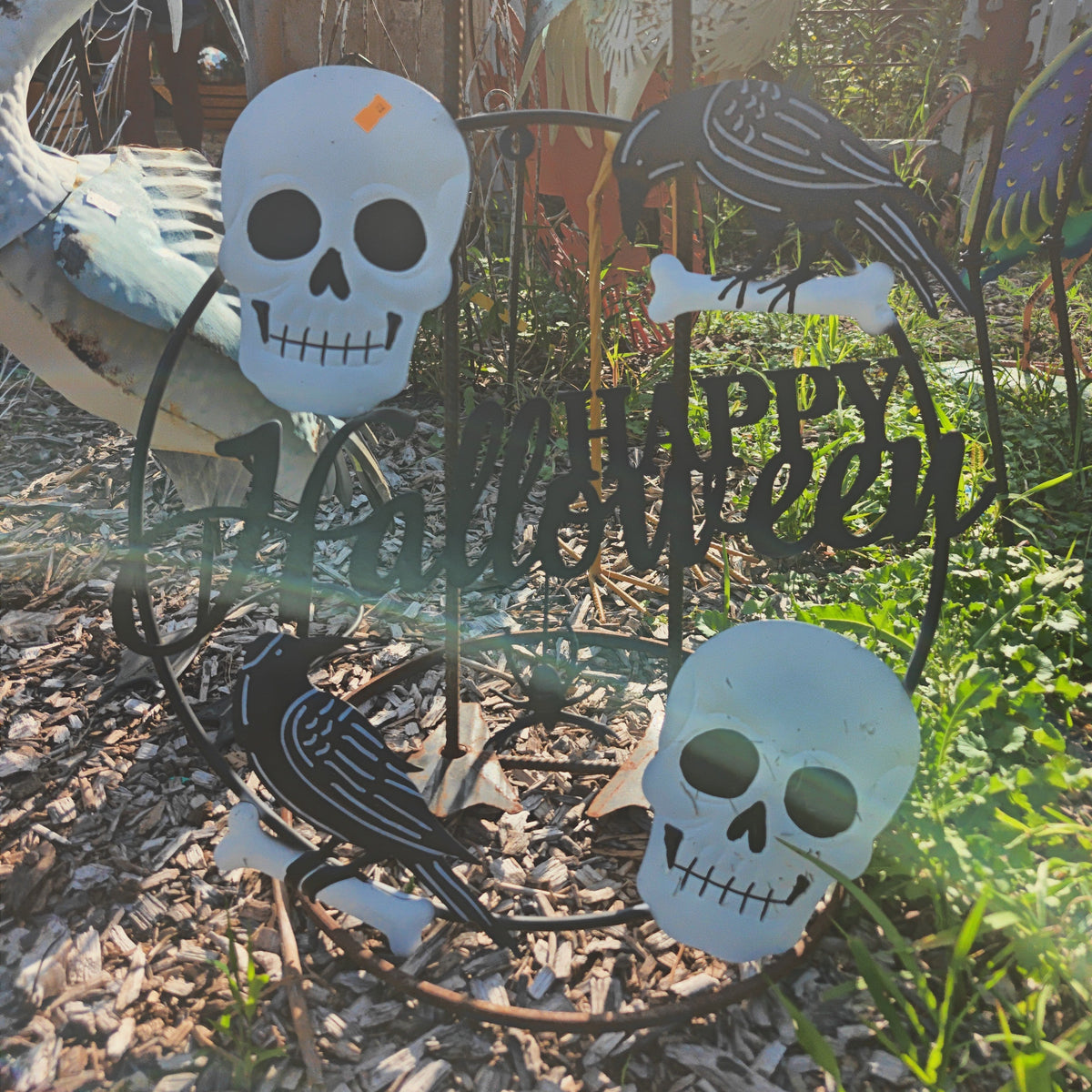 Happy Halloween Skull And Crows Wall Circle