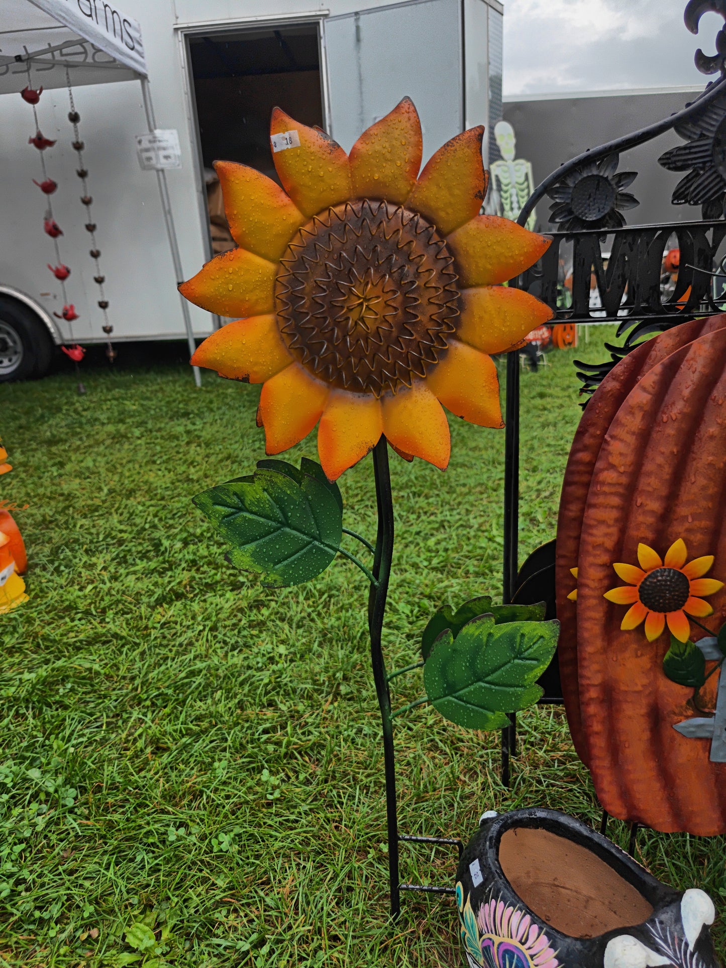 Short Sunflower