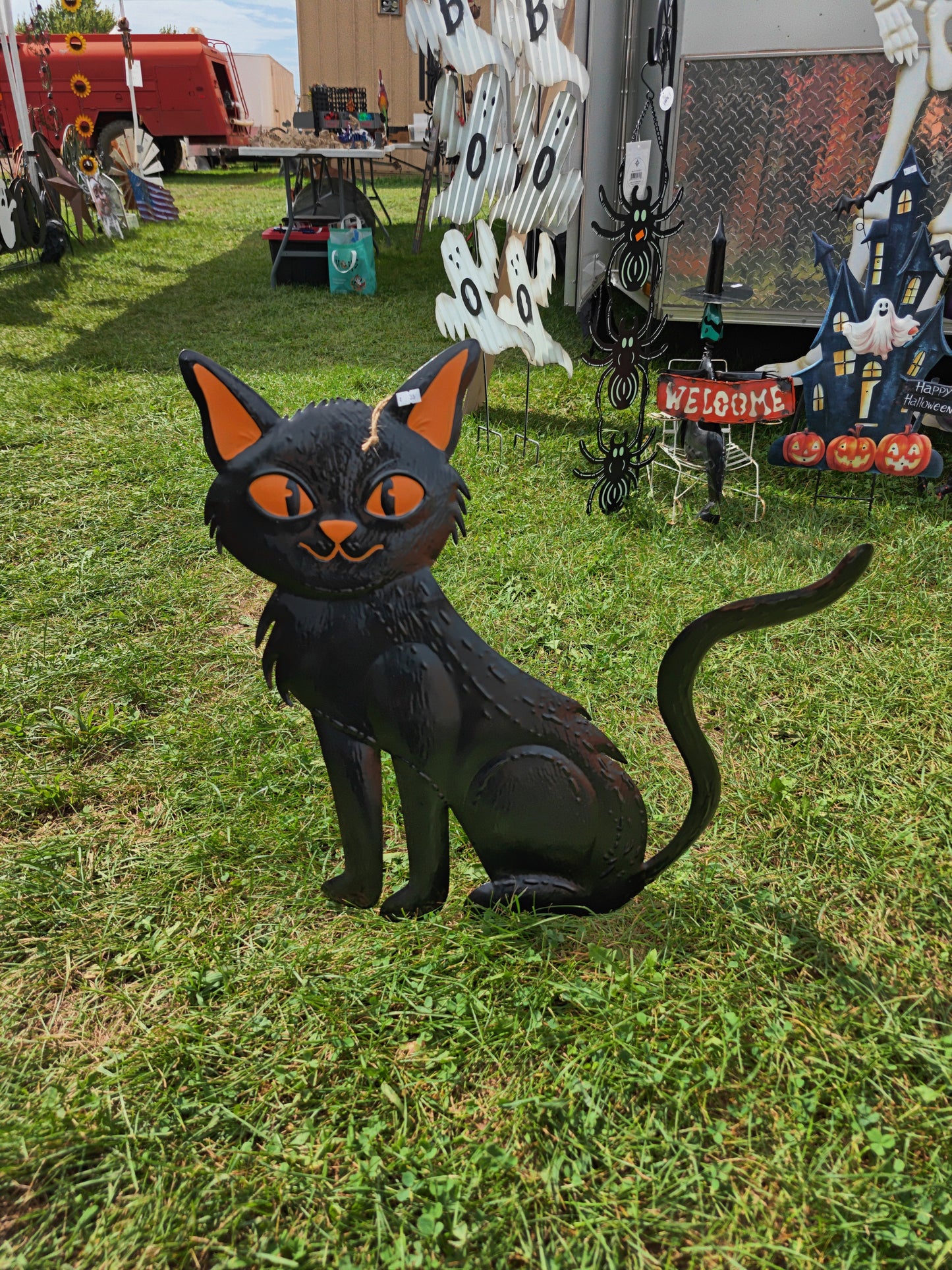 Orange Eyed Cat