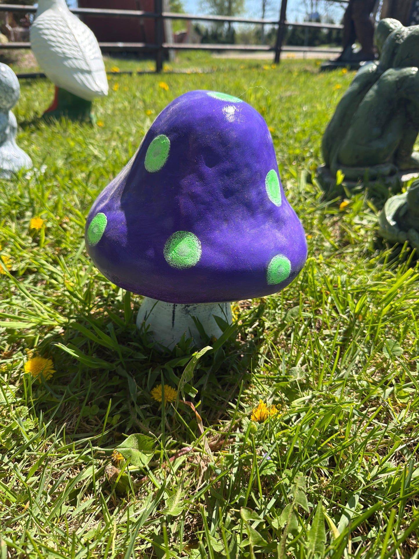 Short fat mushroom