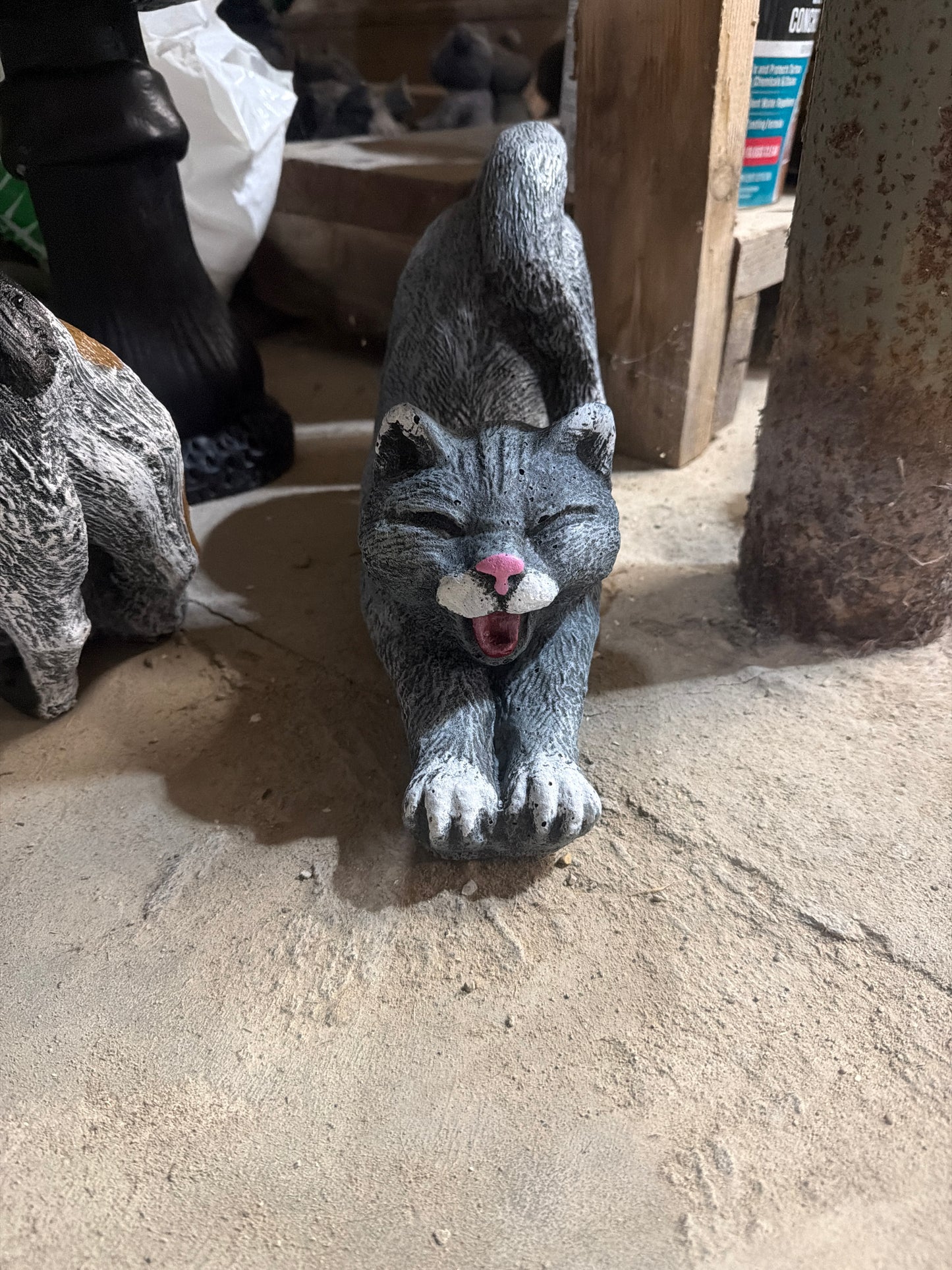 Stretch Cat