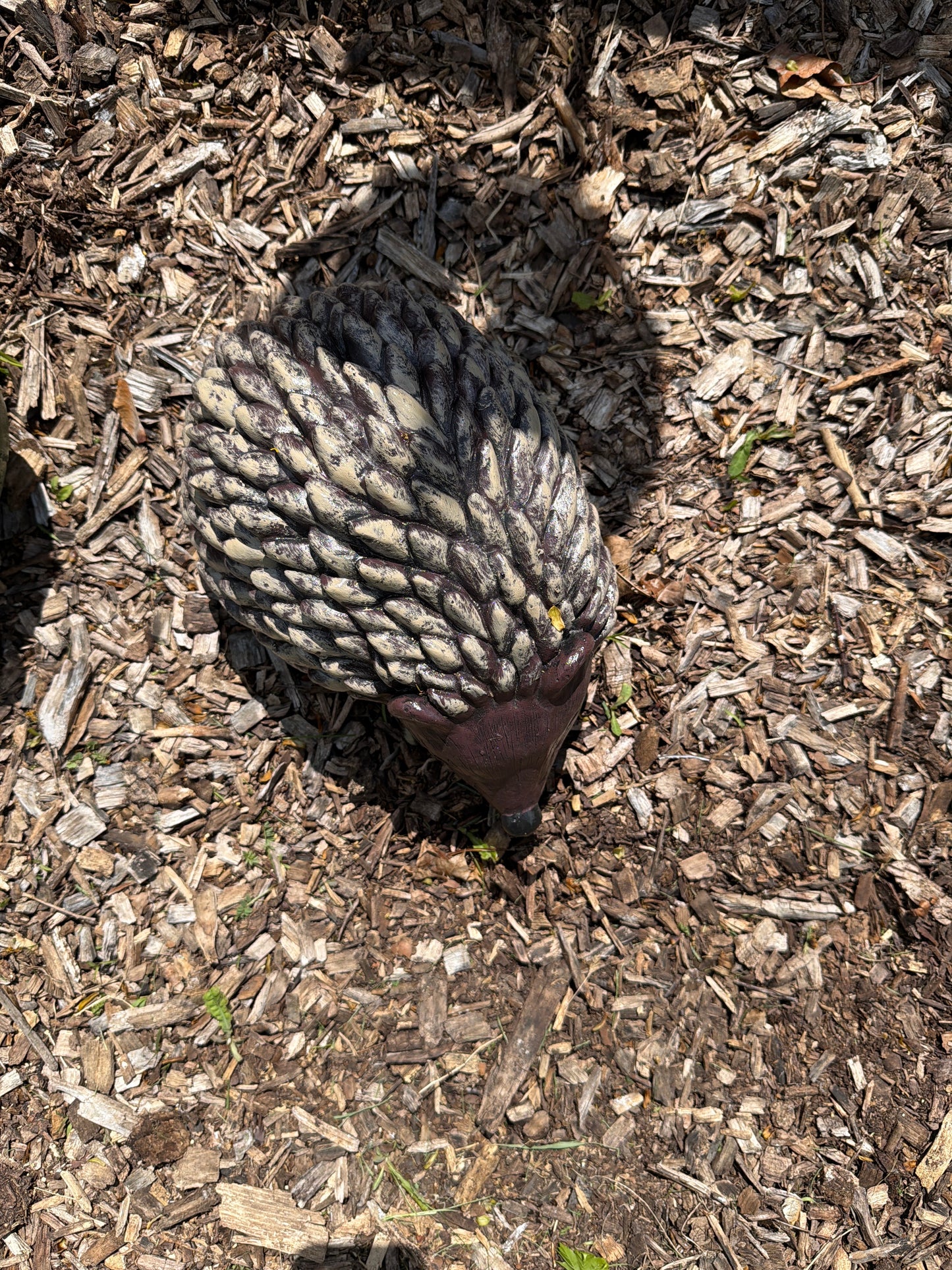 Spiky Hedgehog