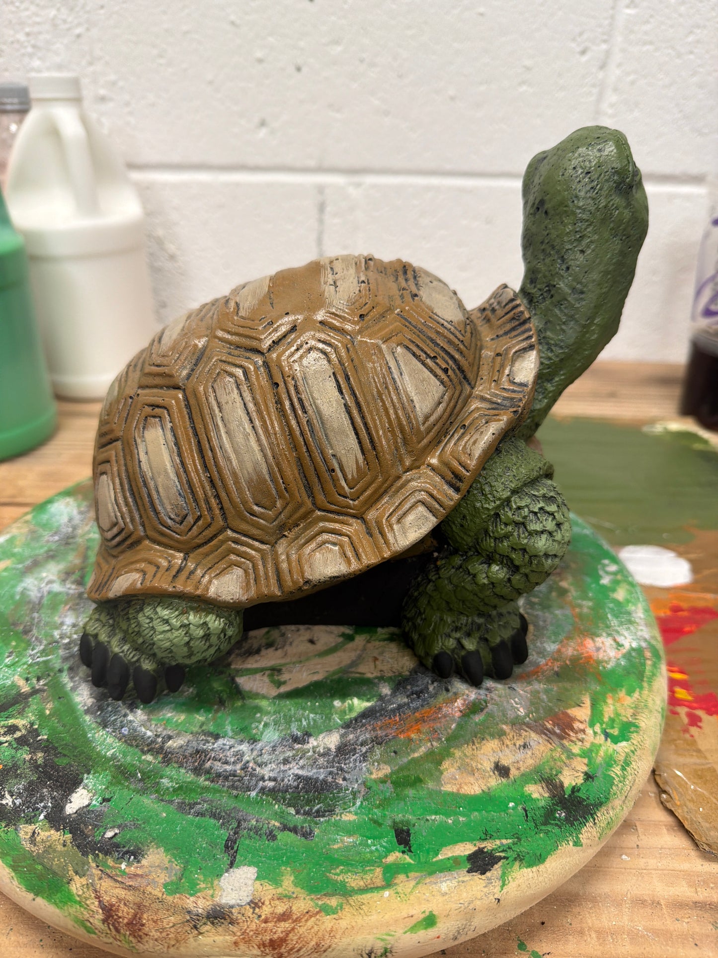 Smiling Turtle