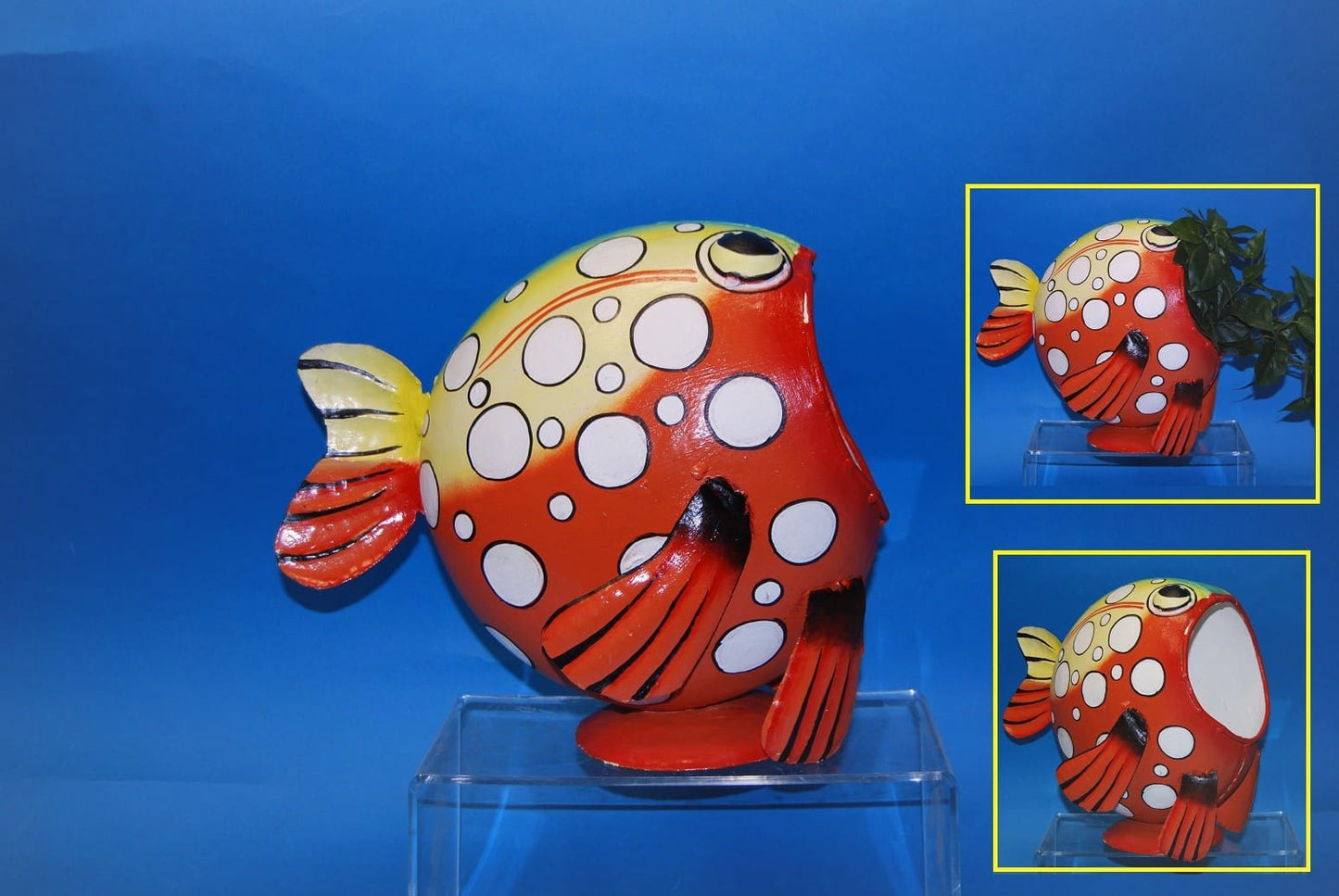 Yellow Boxfish