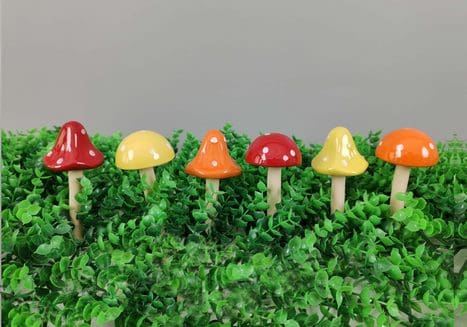 Mushroom Pick