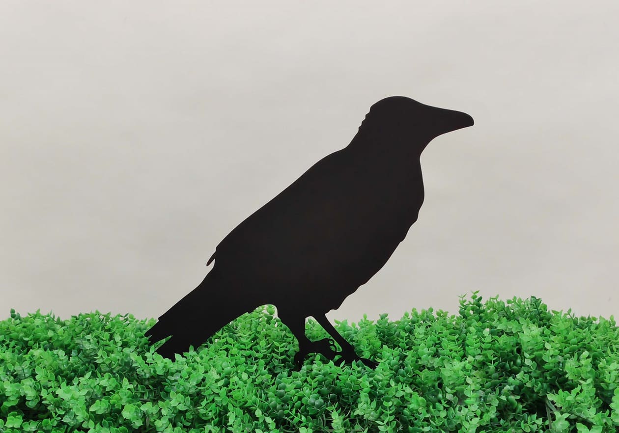 Halloween Crow Stake 19in