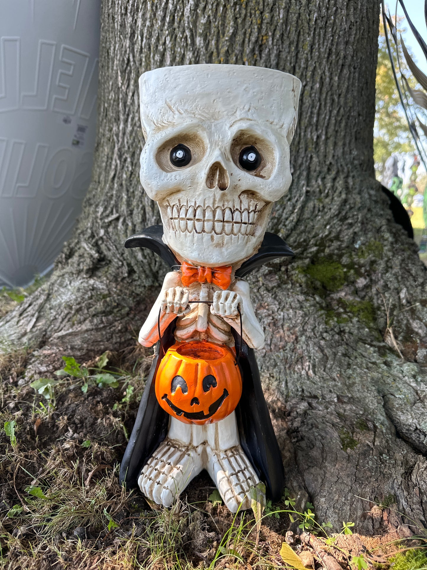 Halloween Skeleton Candy Holder