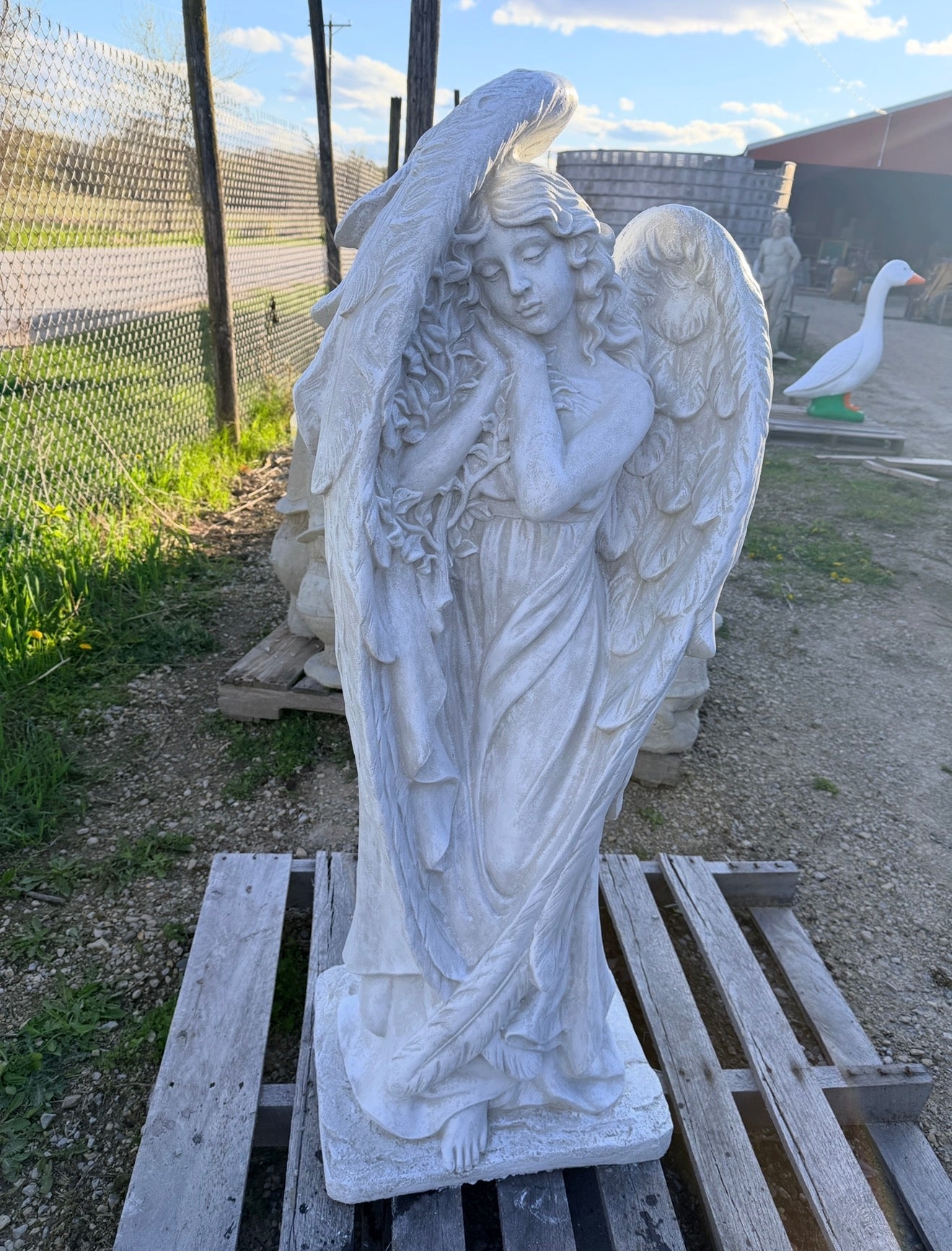 XL Angel