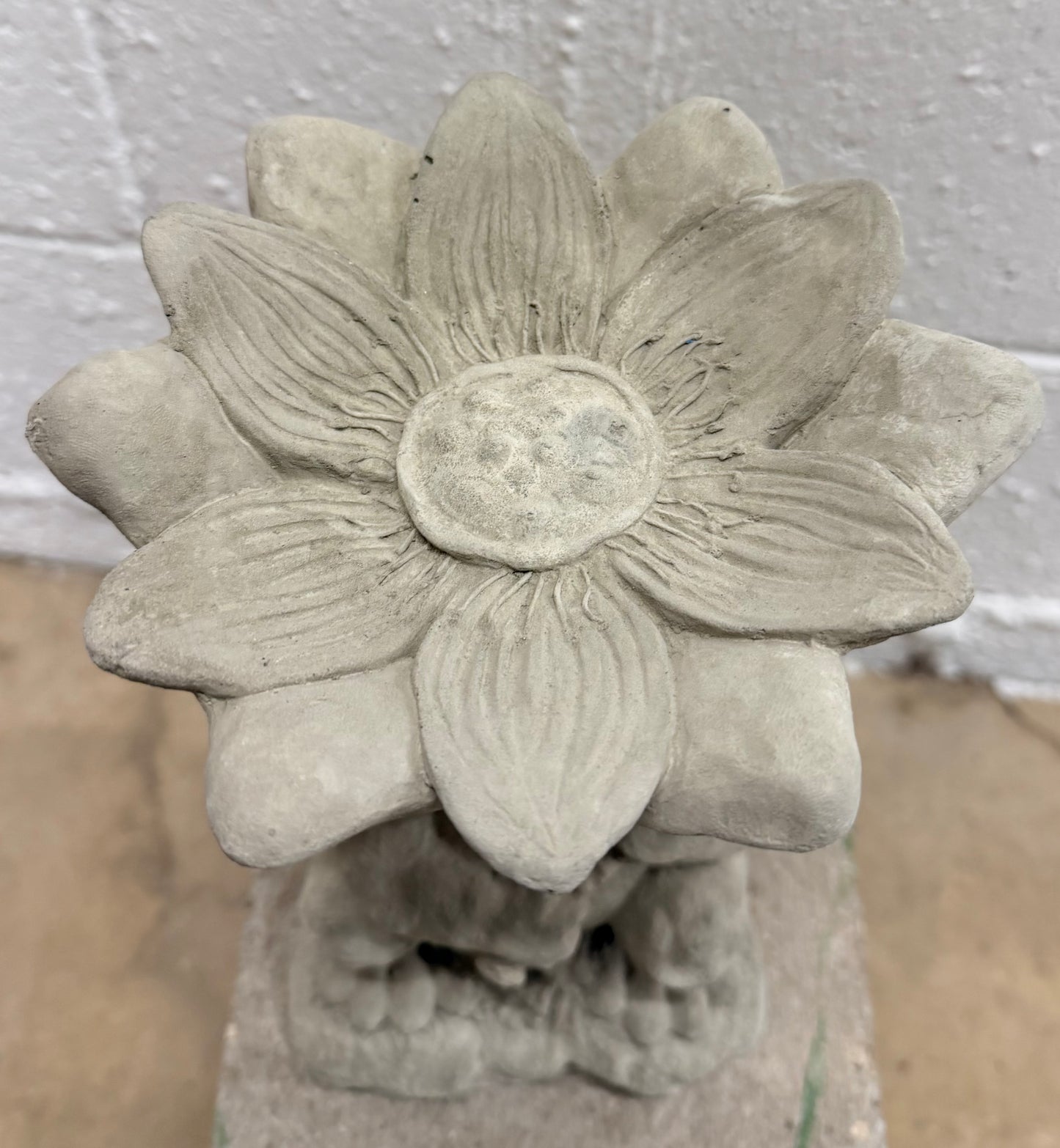 Frog Flower on Head