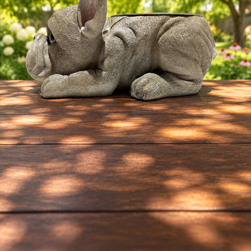 French Bulldog With Stainless Water Bowl Grey