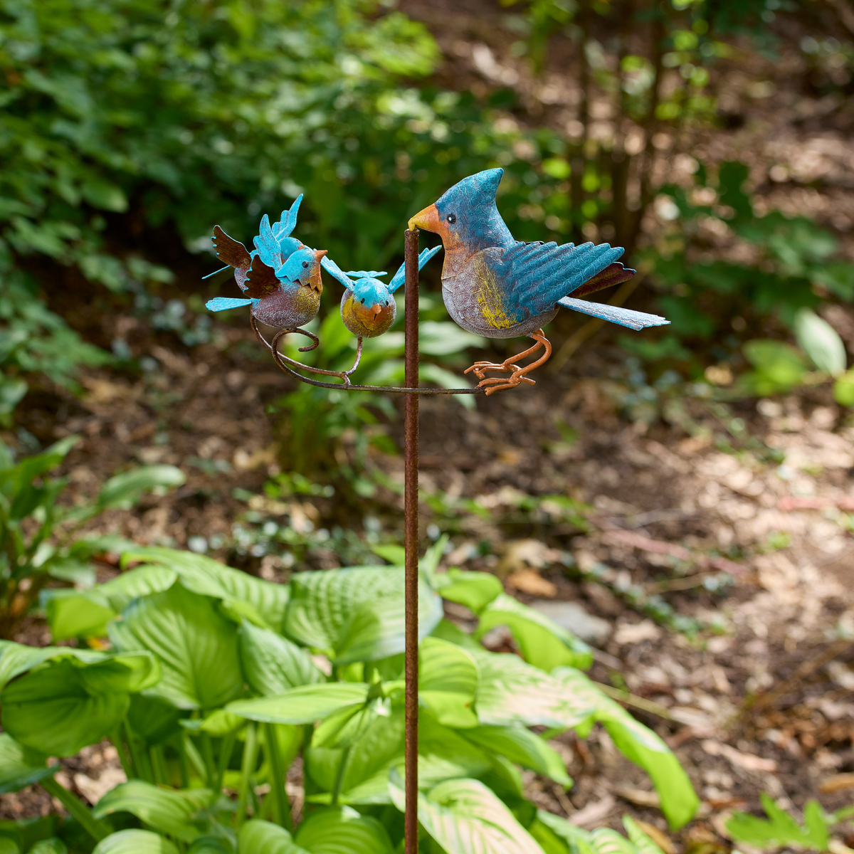 Baby Blue Birds Balancer