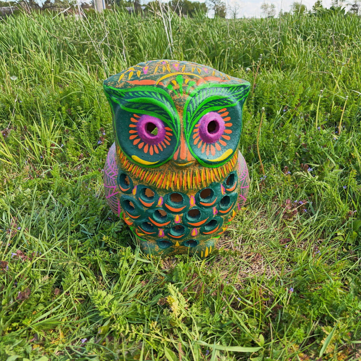Owl