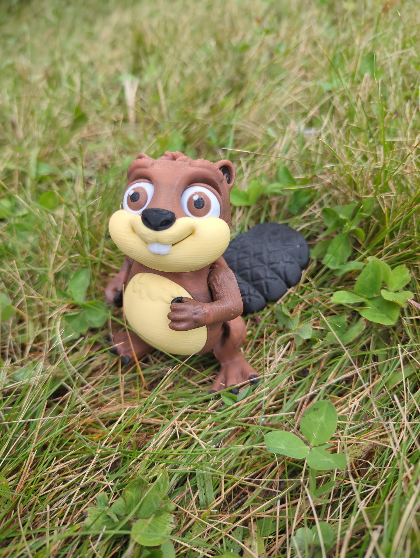 Flexi Beaver