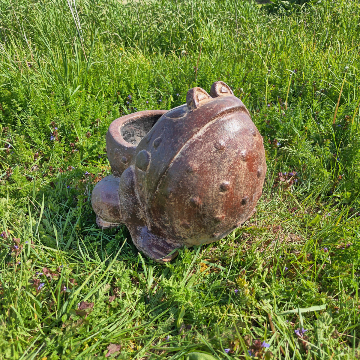 Toad Planter