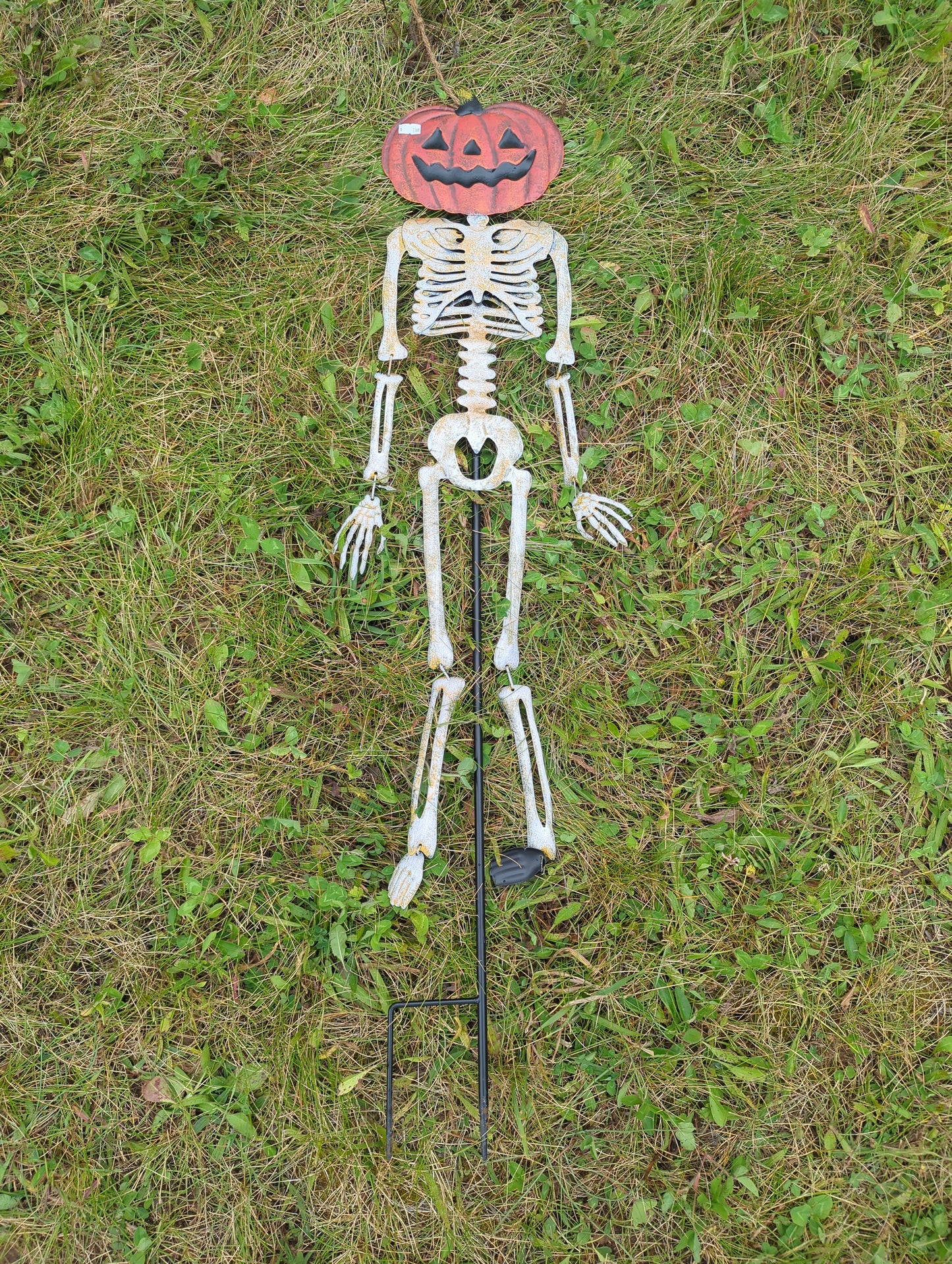 Metal Skeleton with Pumpkin Head