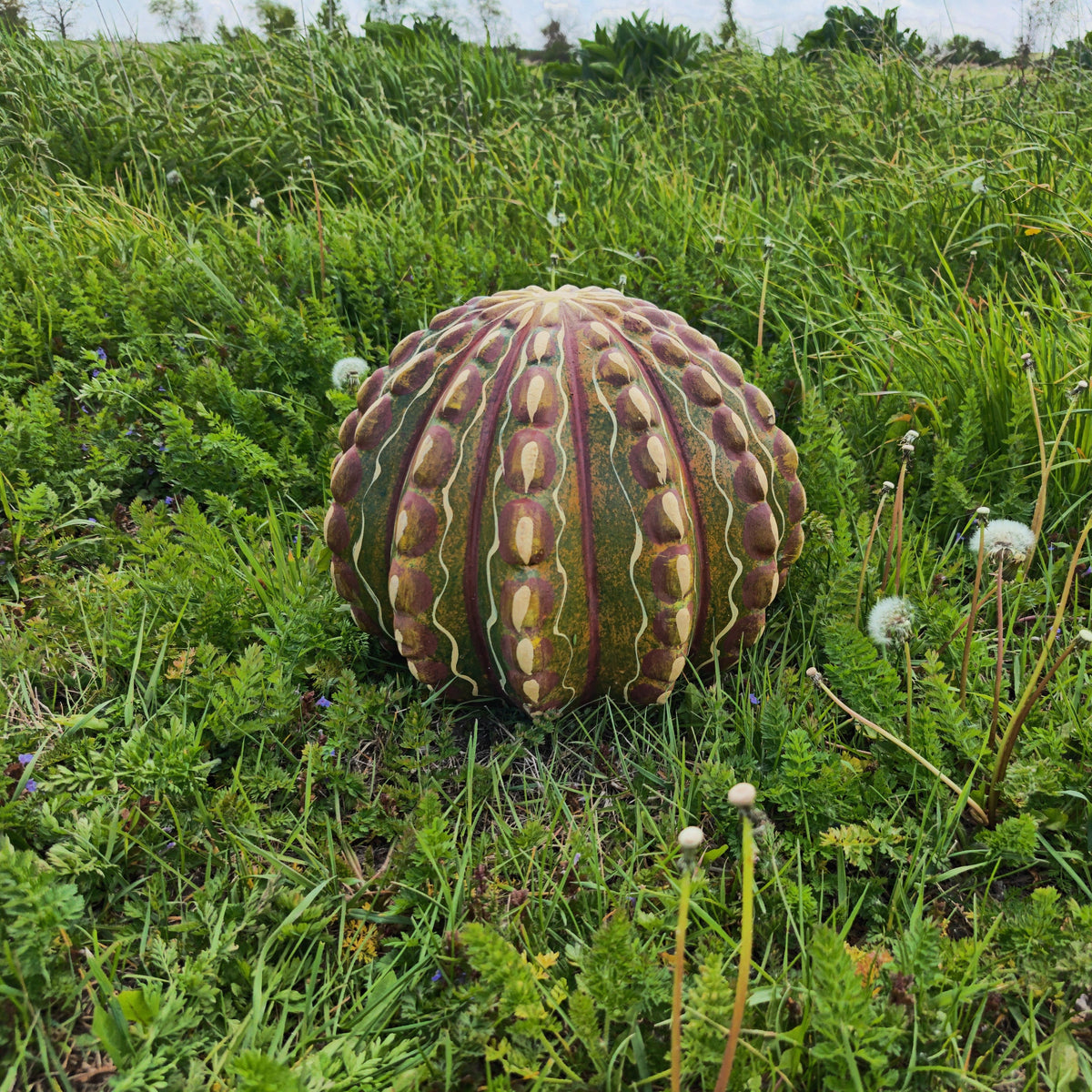 Terracotta Cactus