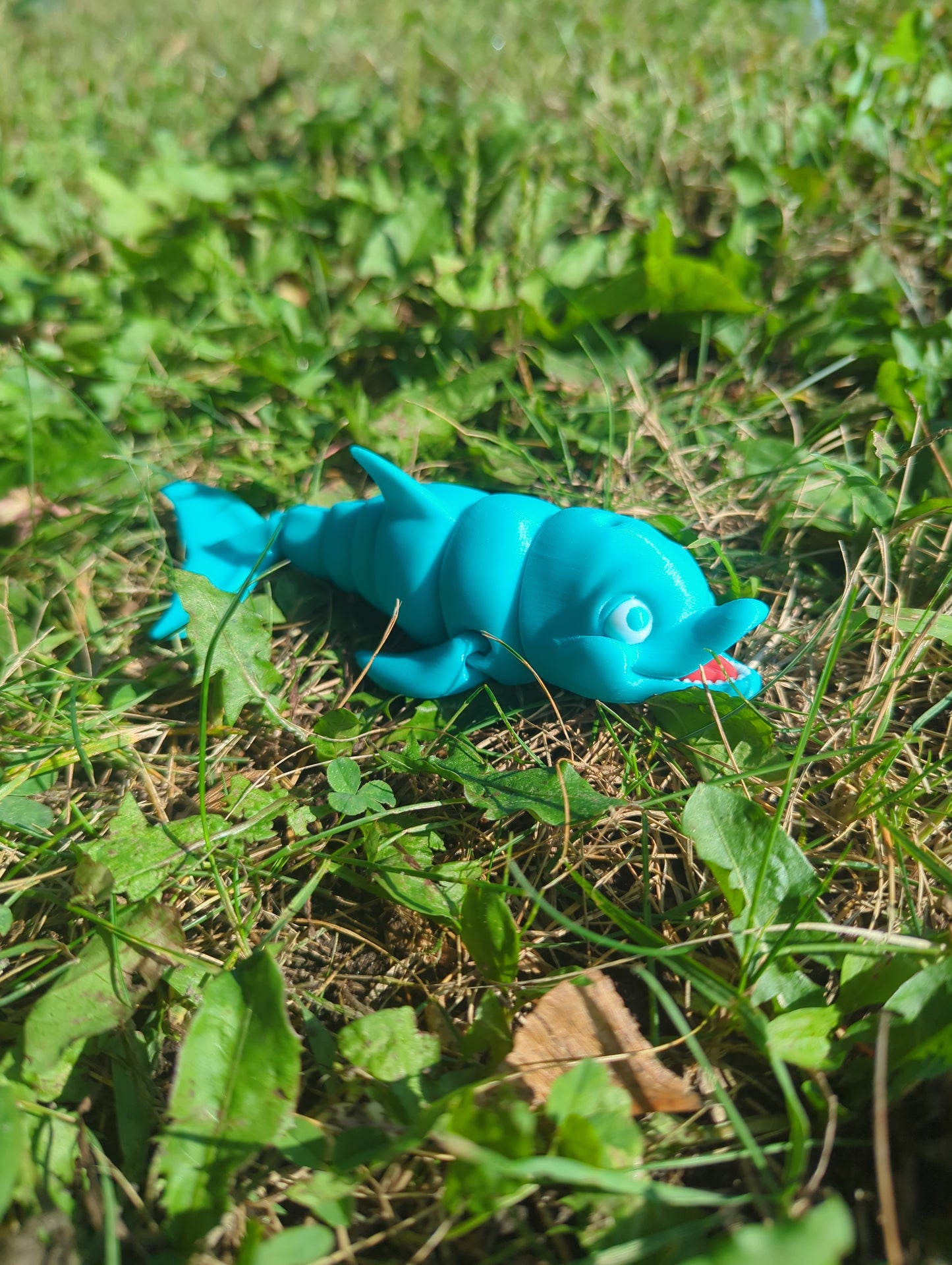 Flexi Dolphin