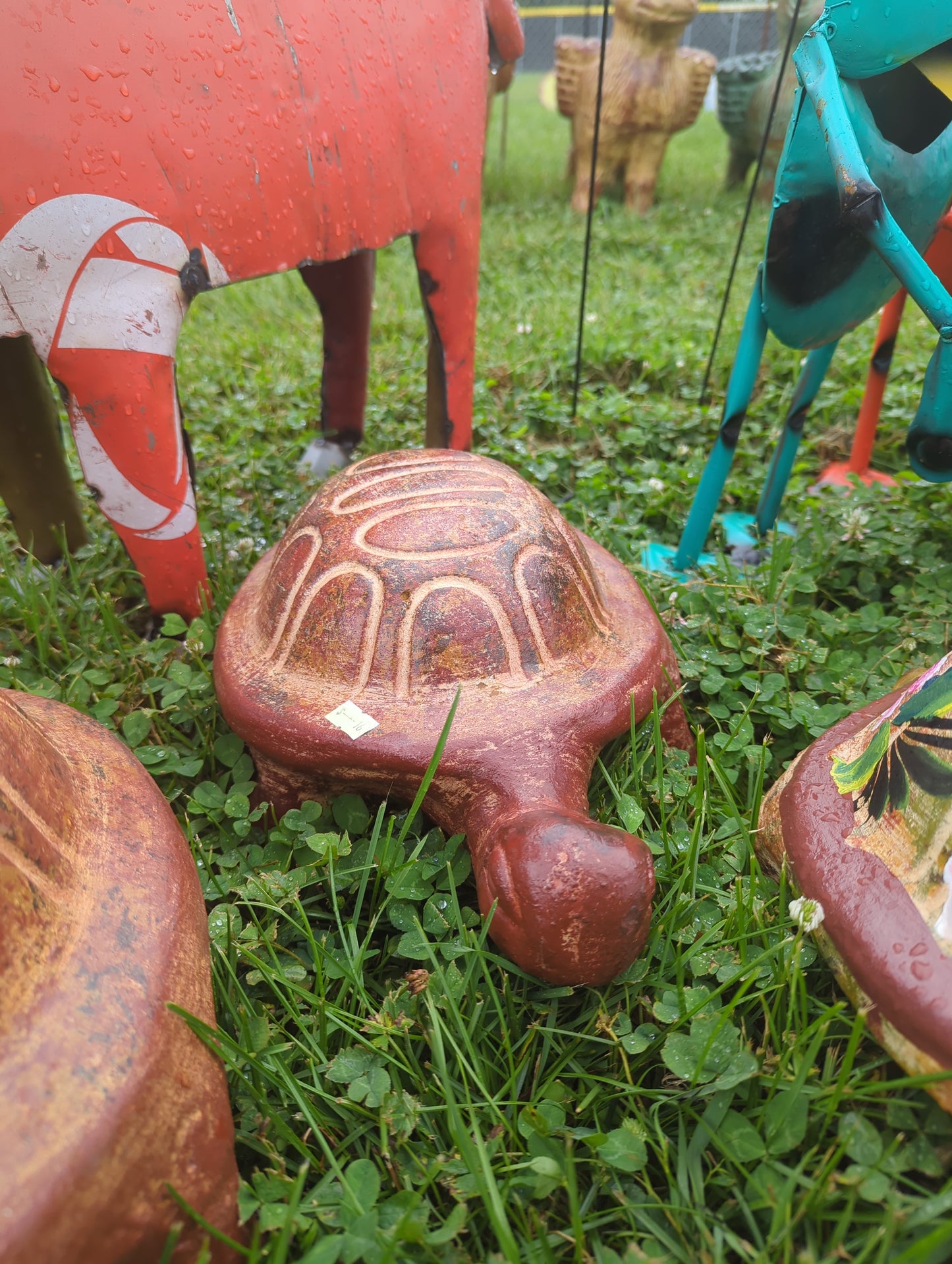 Terracotta Turtle