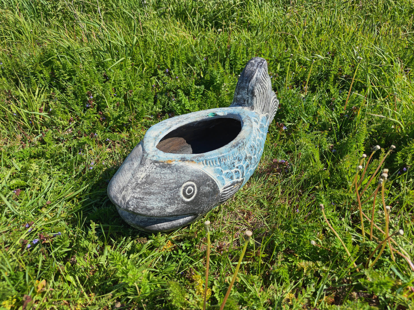 Cod Fish Planter