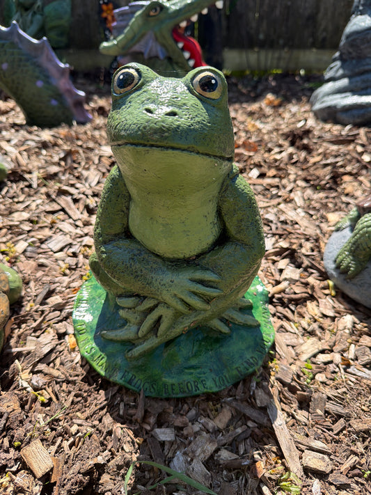 Kiss many frogs