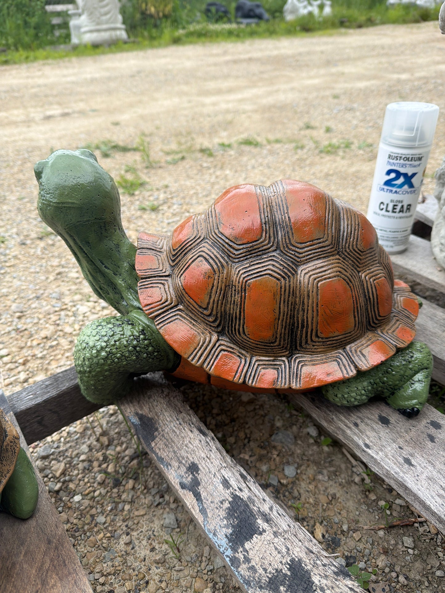 Realistic turtle