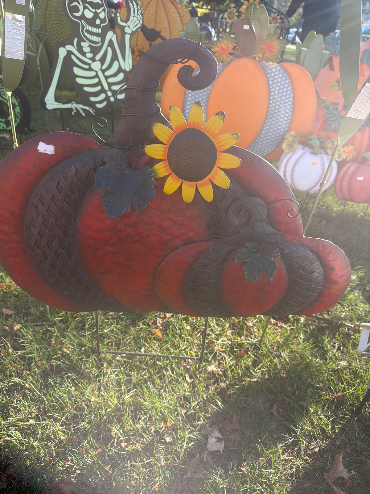 Double Orange Lattice Pumpkin with Sunflower
