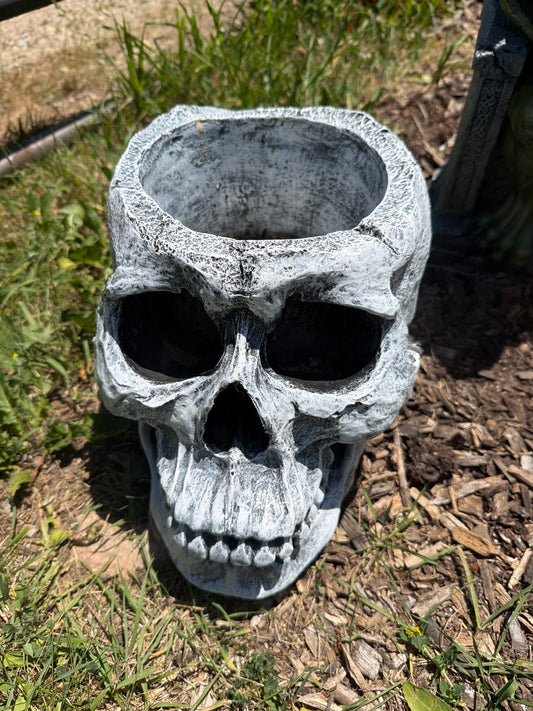Skull Head Planter