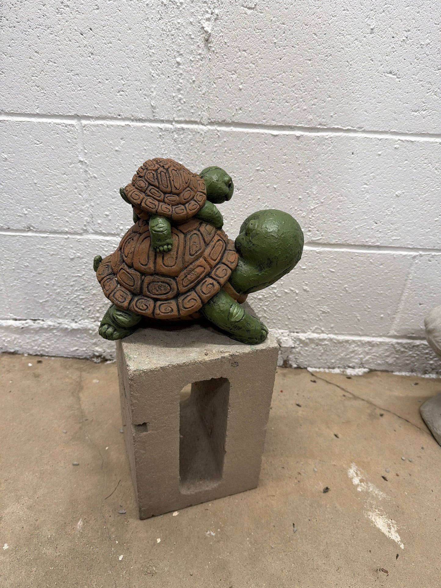 Turtle with Baby