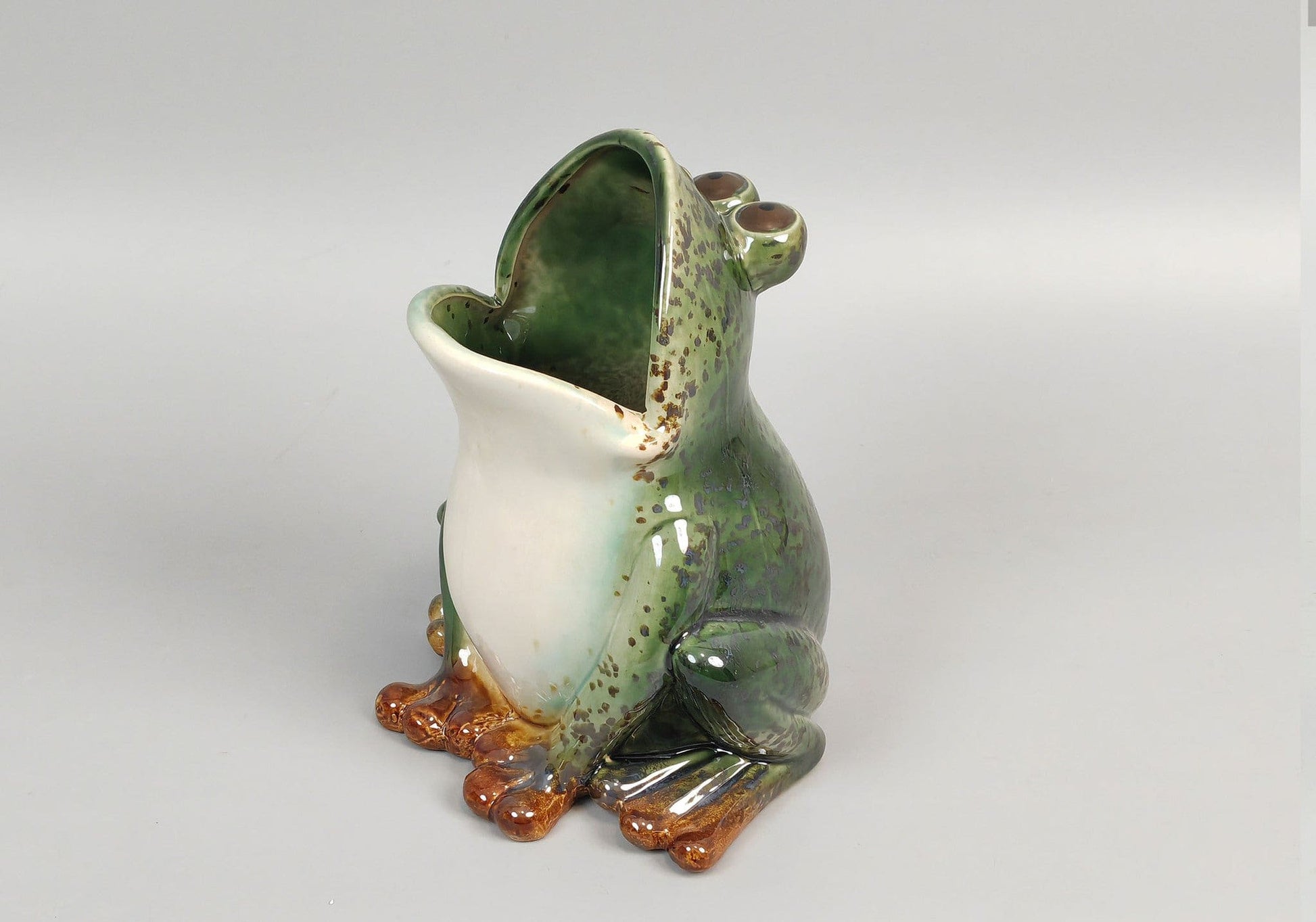 Open Mouth Frog