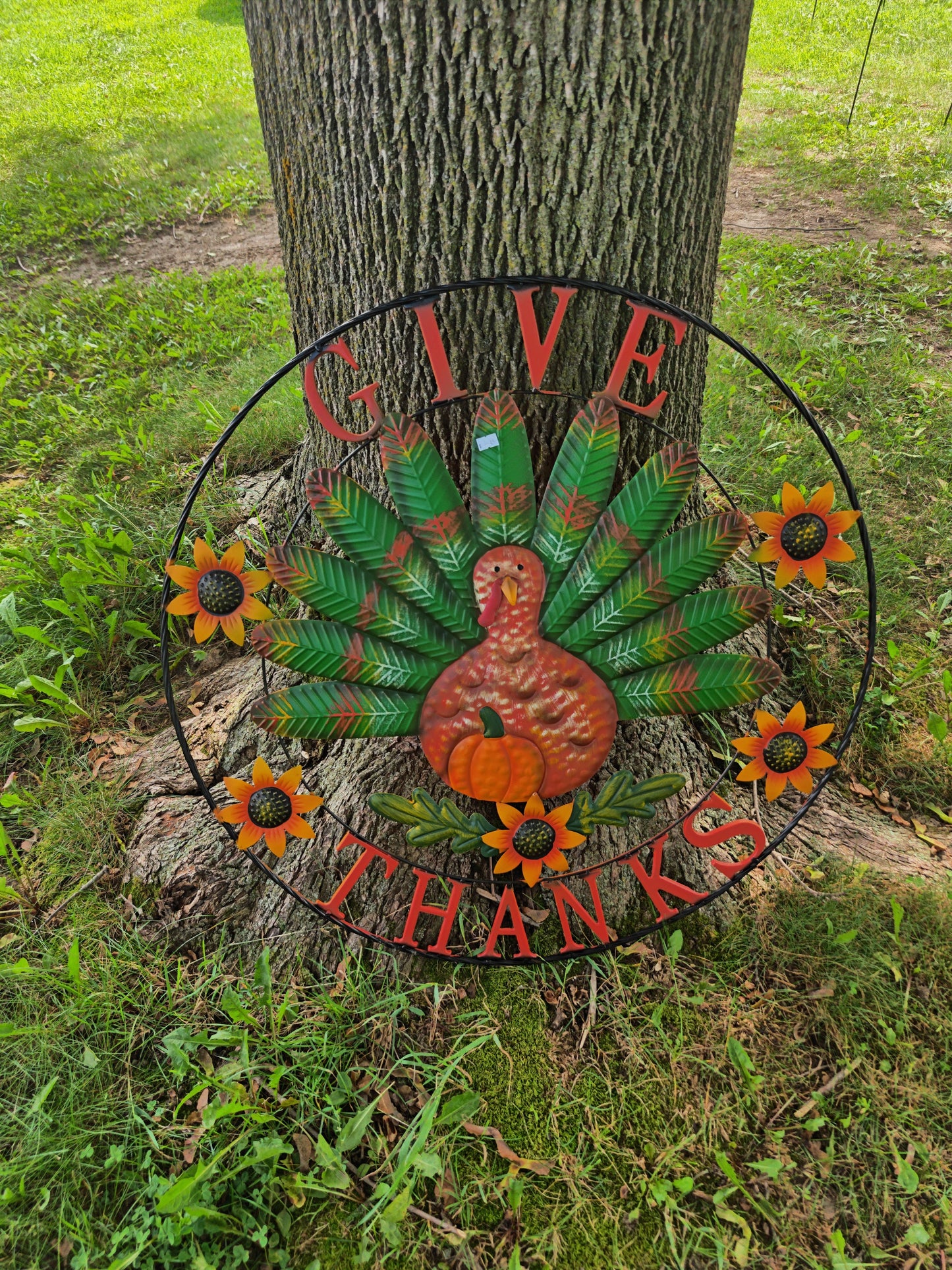 Give Thanks Turkey
