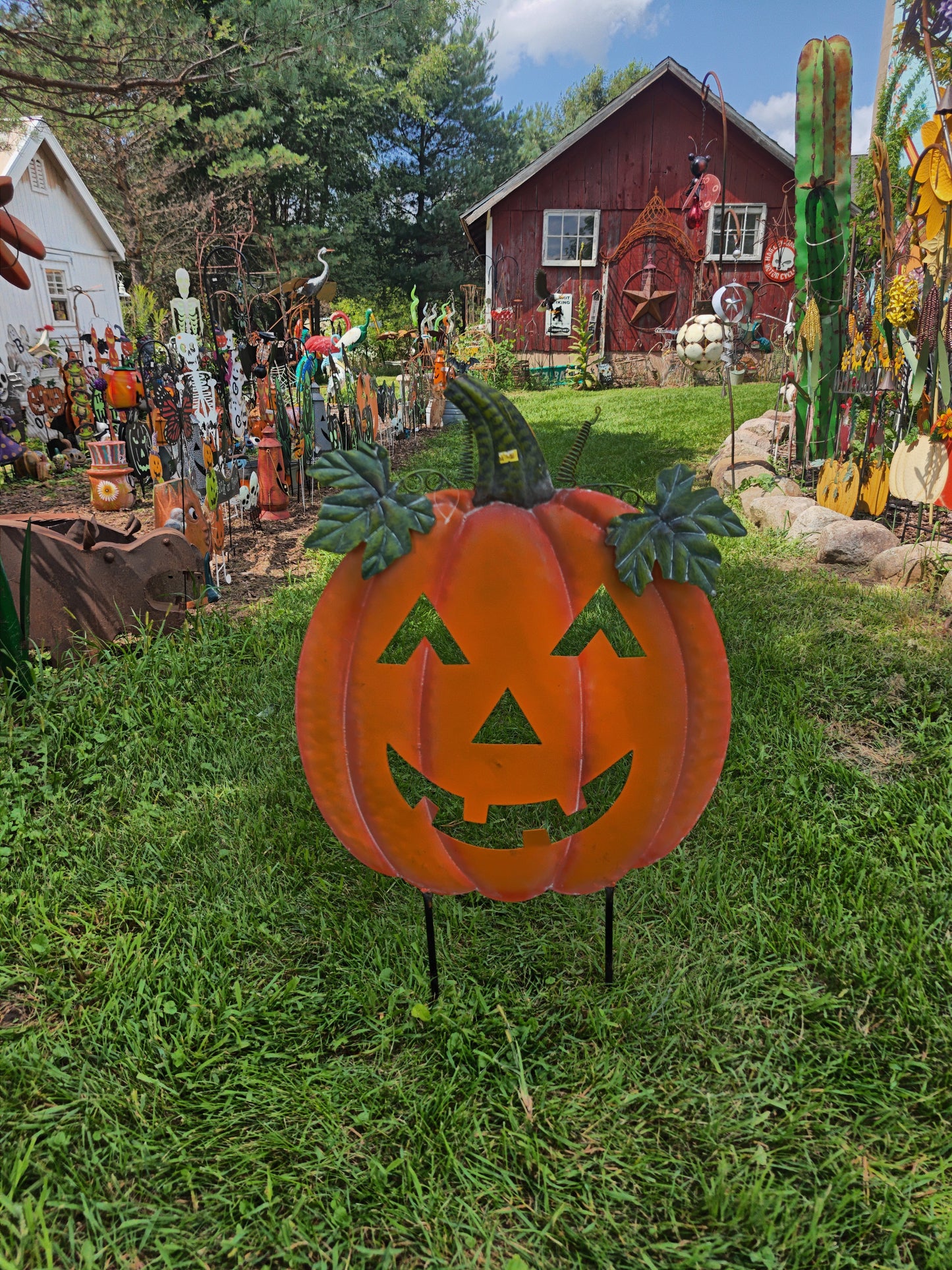 Smooth Jack Pumpkin