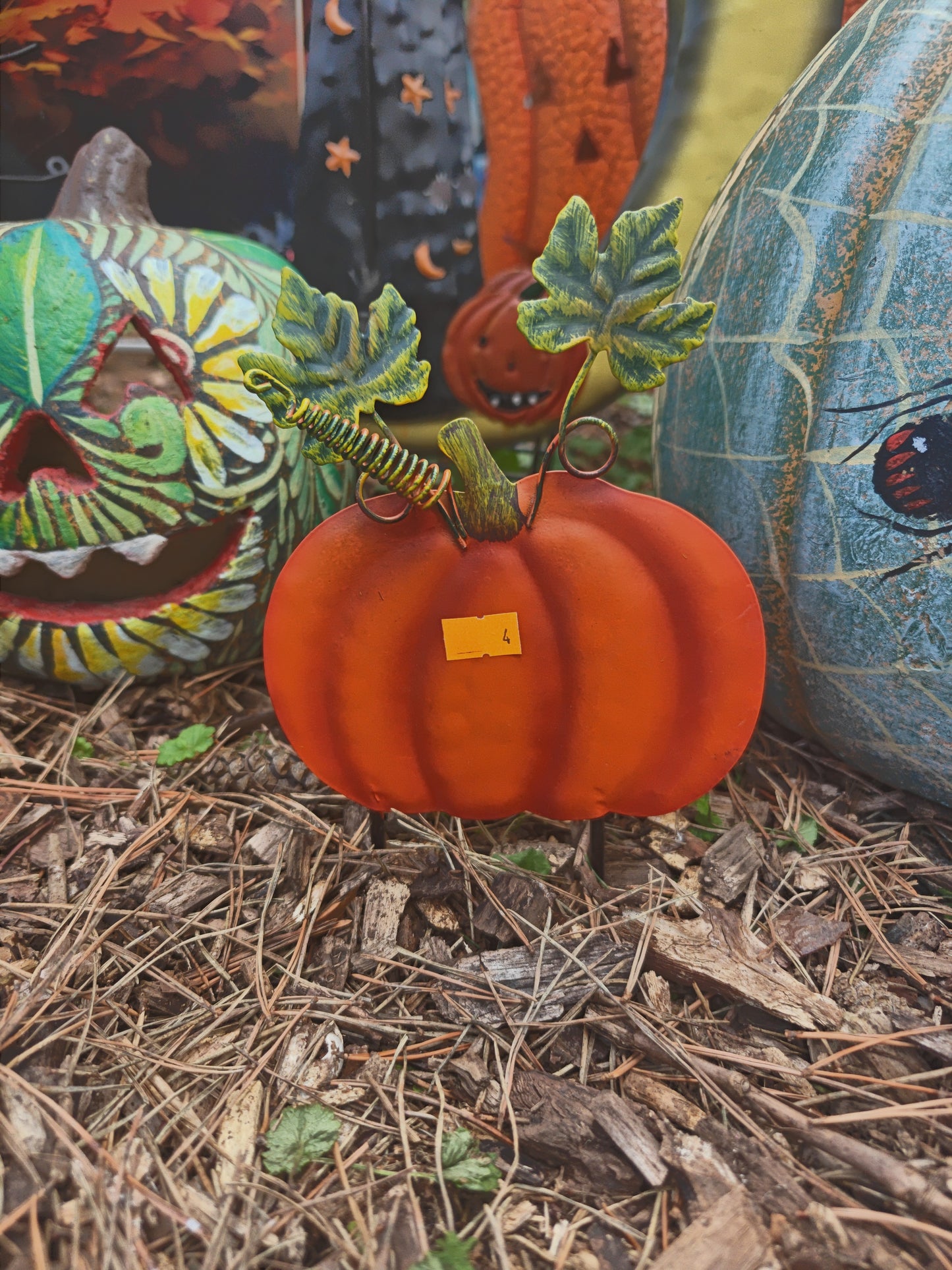 Mini Pumpkins