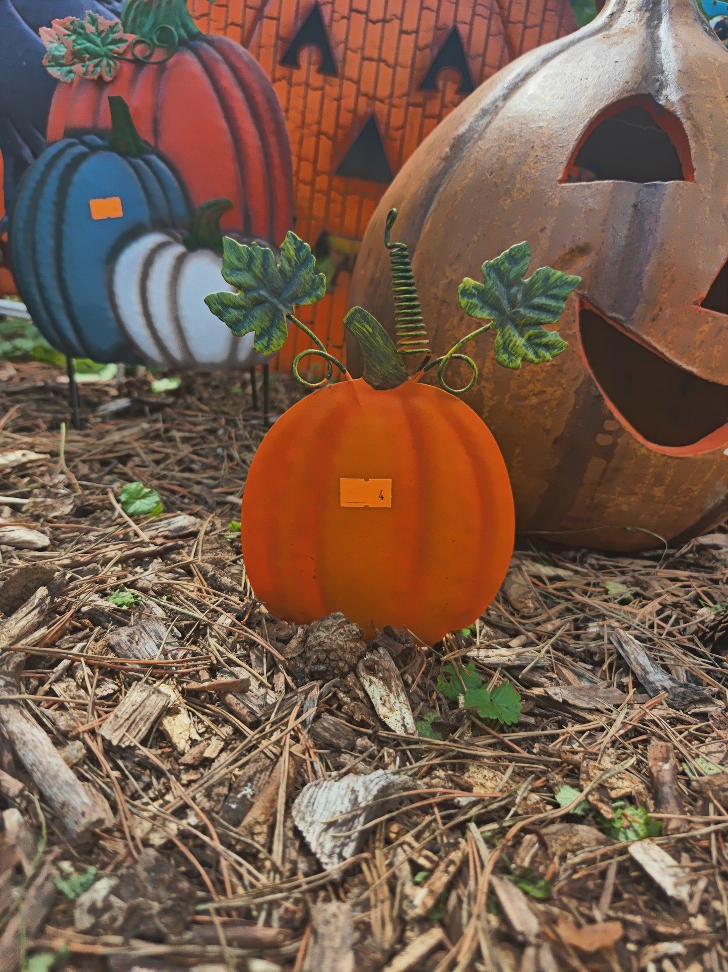 Mini Pumpkins