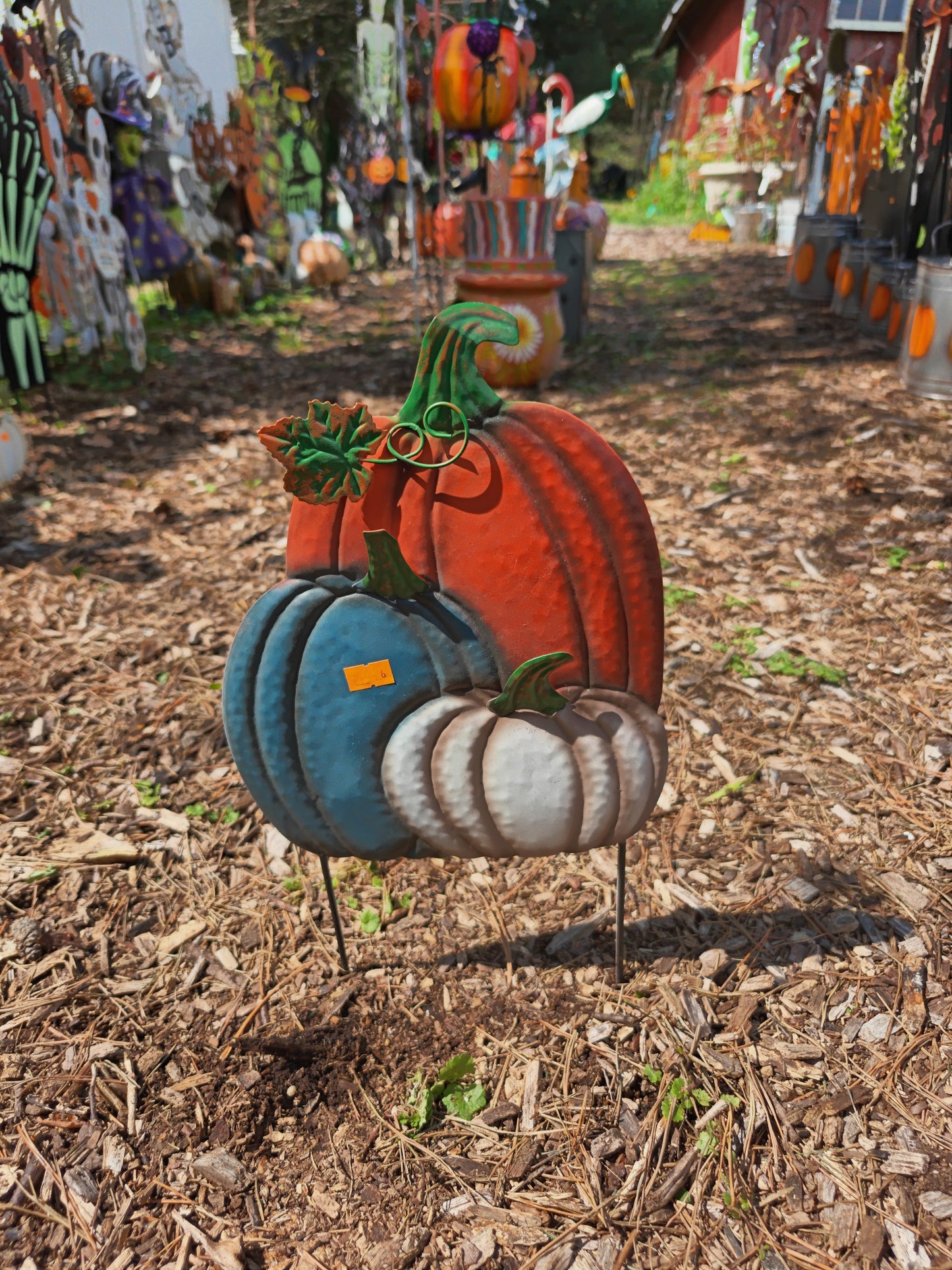Mini Pumpkin Triple