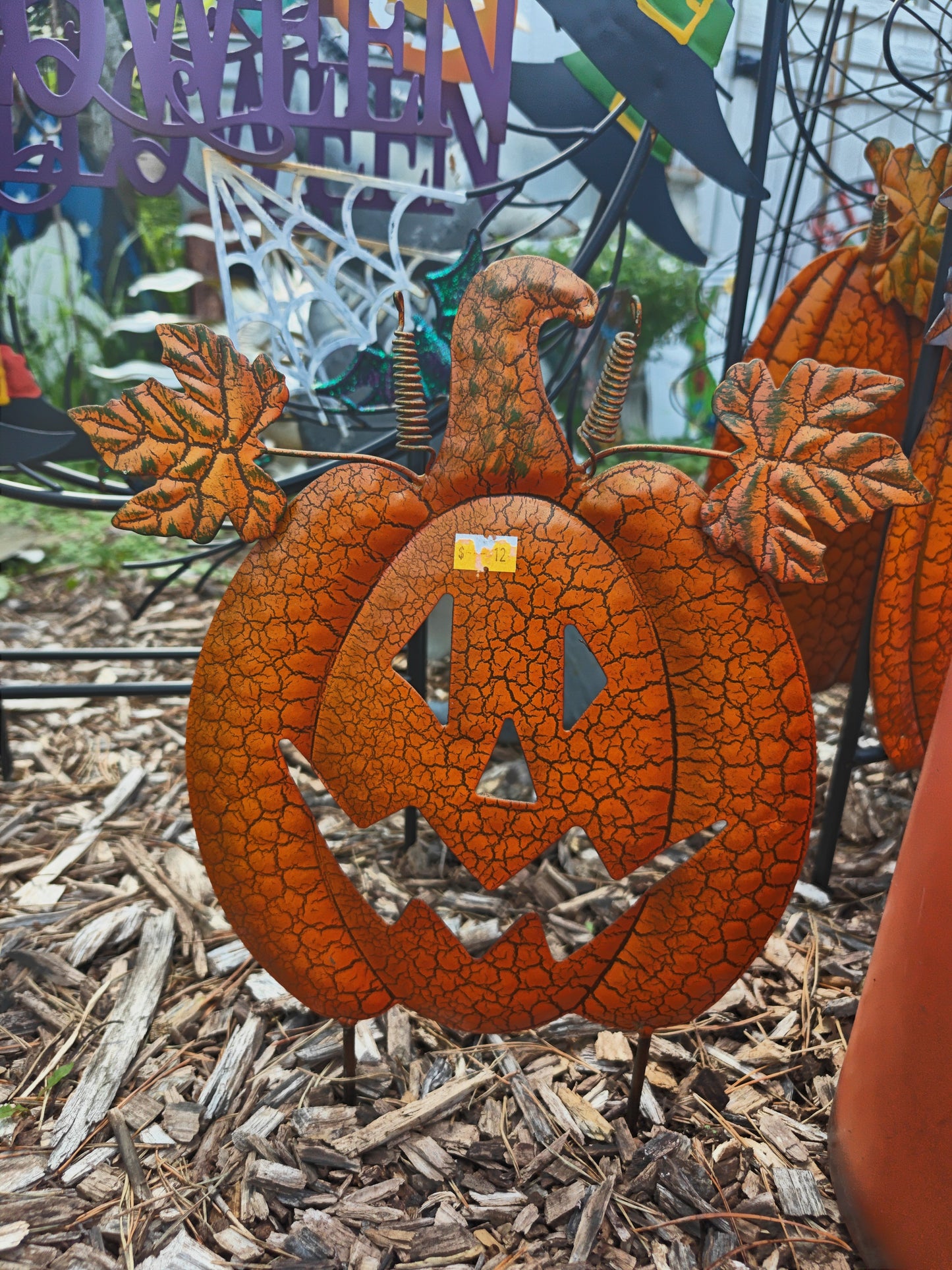 Small Jack Pumpkin