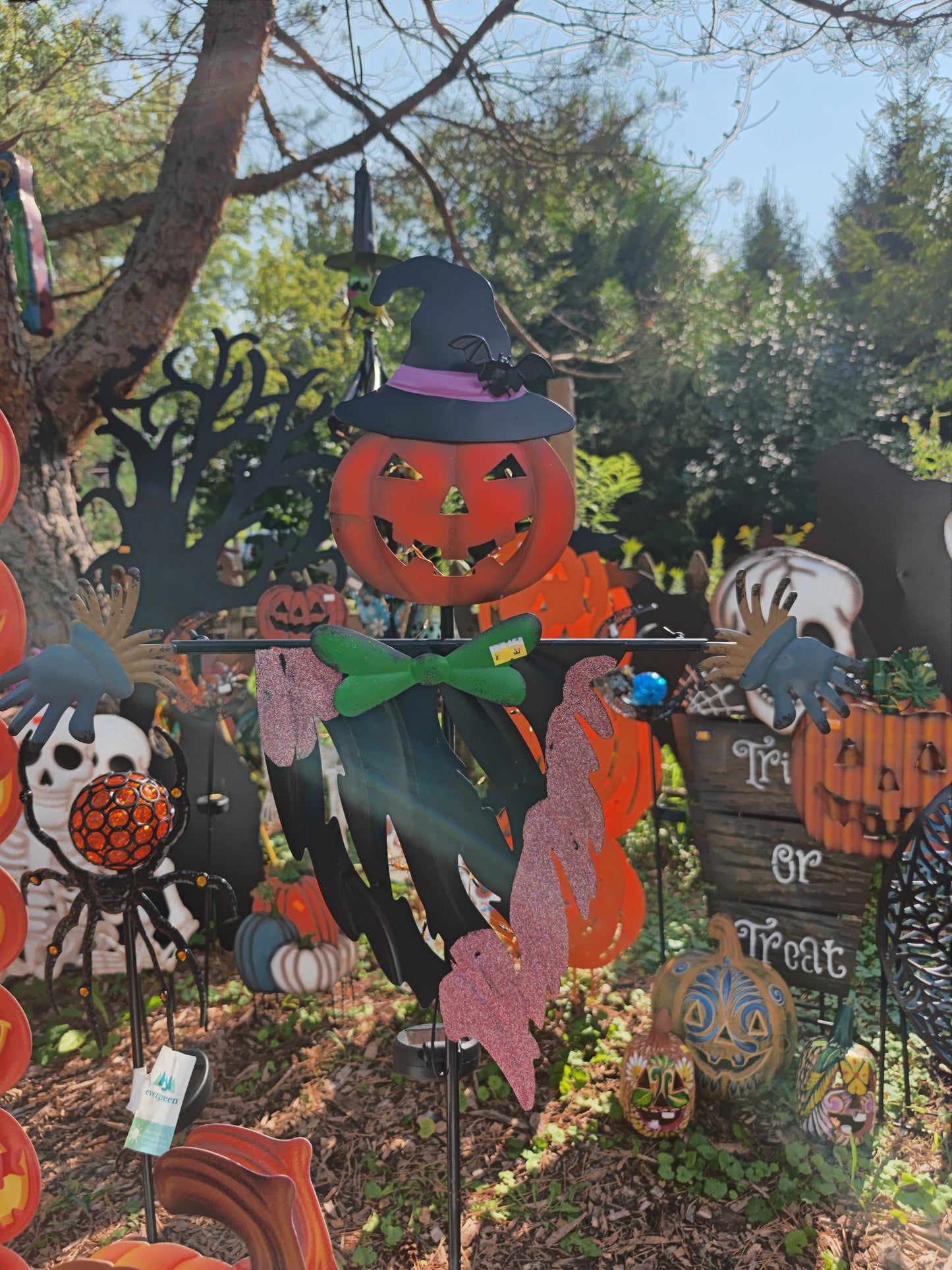 Solar Pumpkin Witch