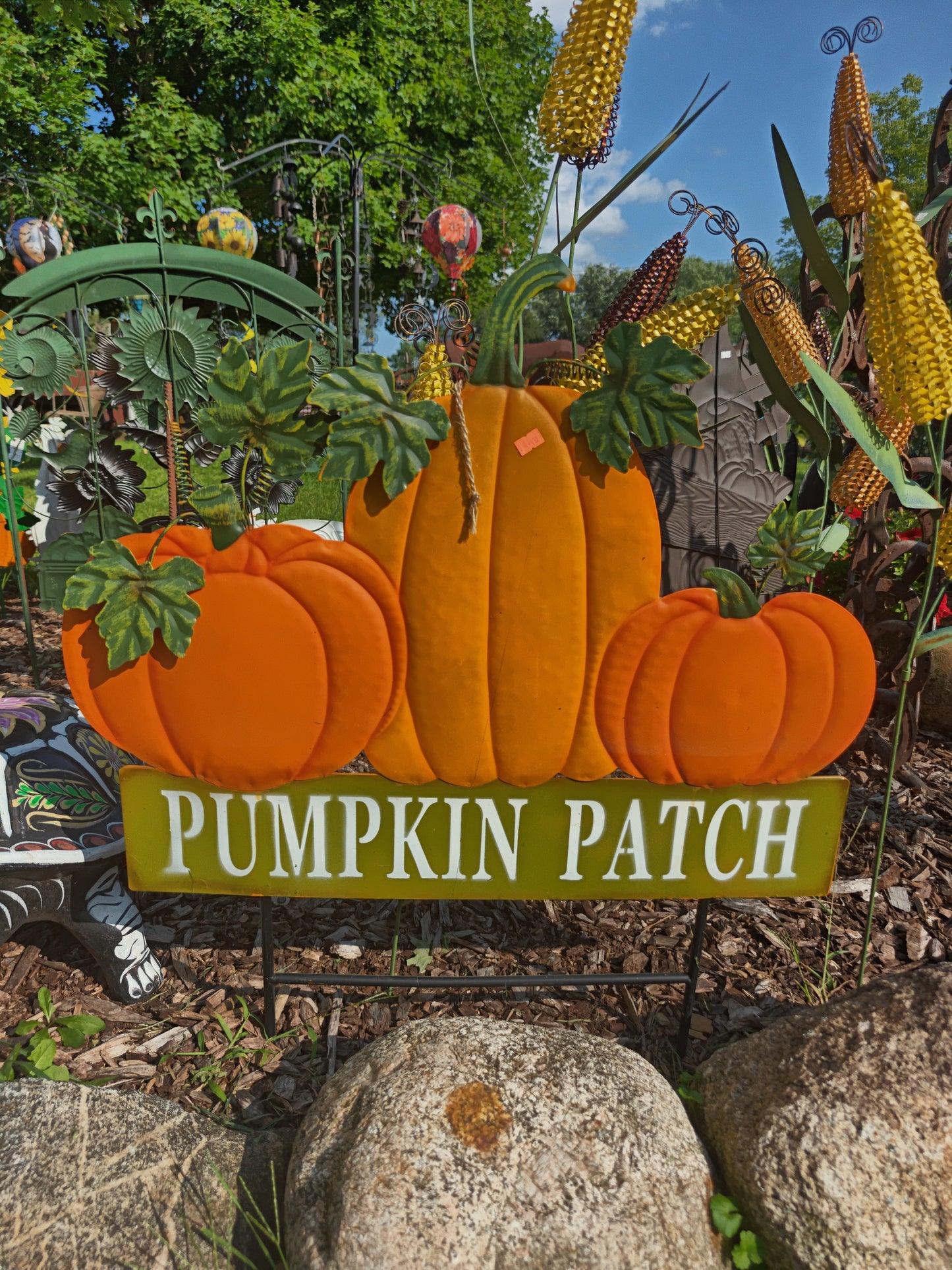 3 Pumpkins Pumpkin Patch