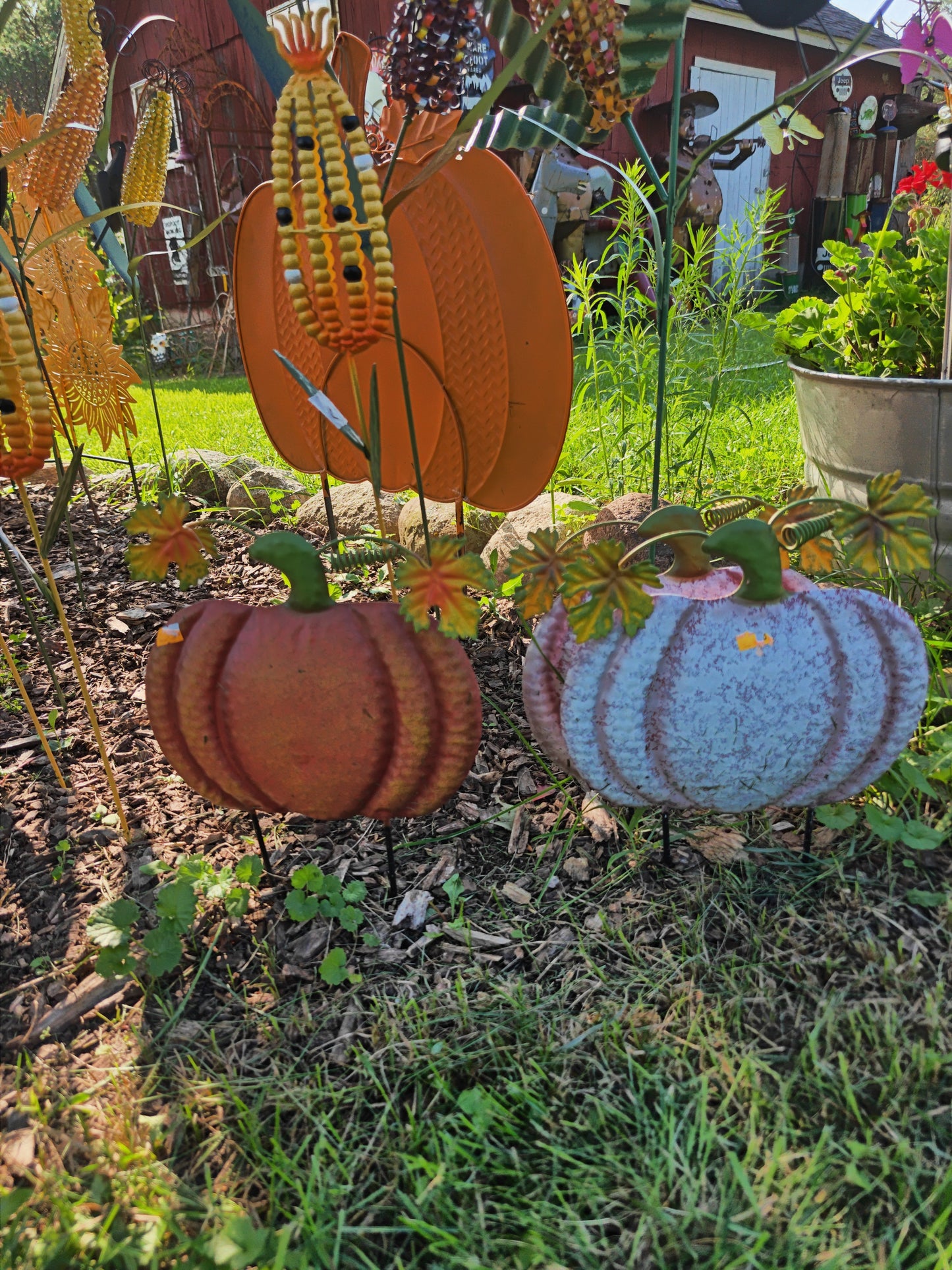 Small Pumpkin
