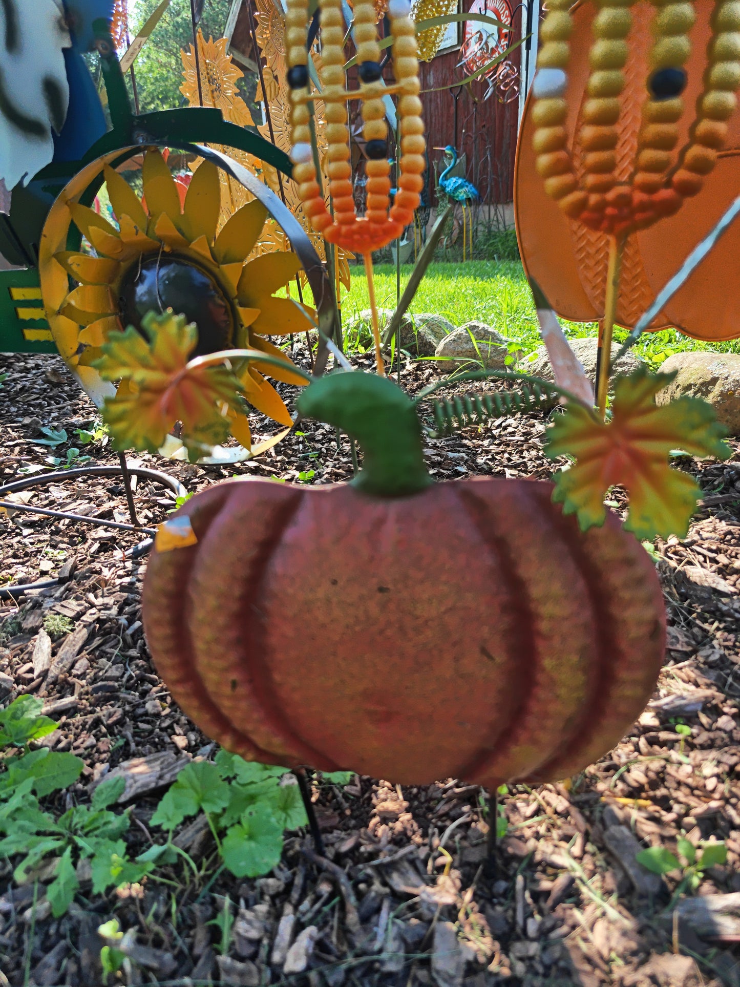 Small Pumpkin