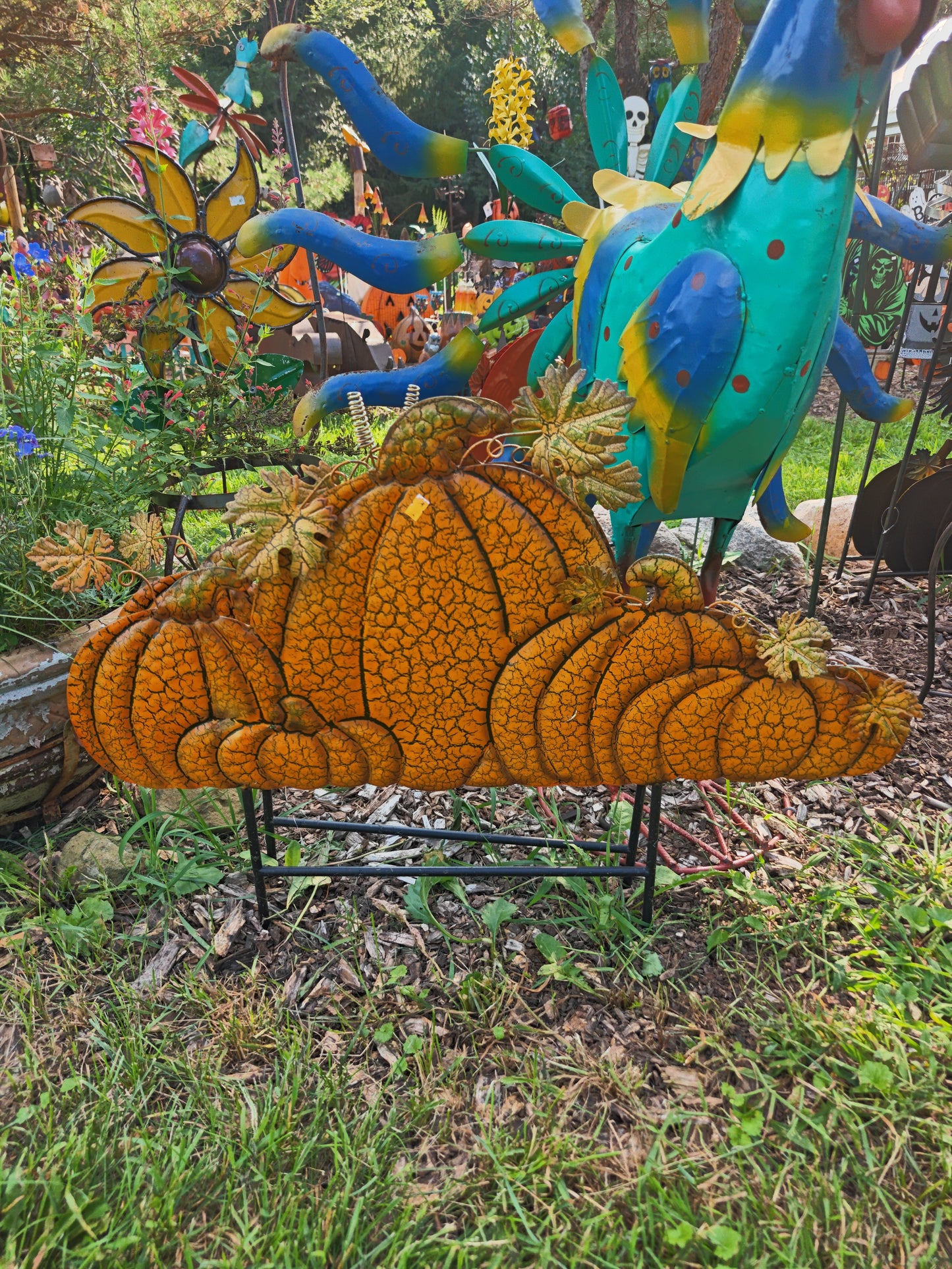 Orange Crackle Pumpkins