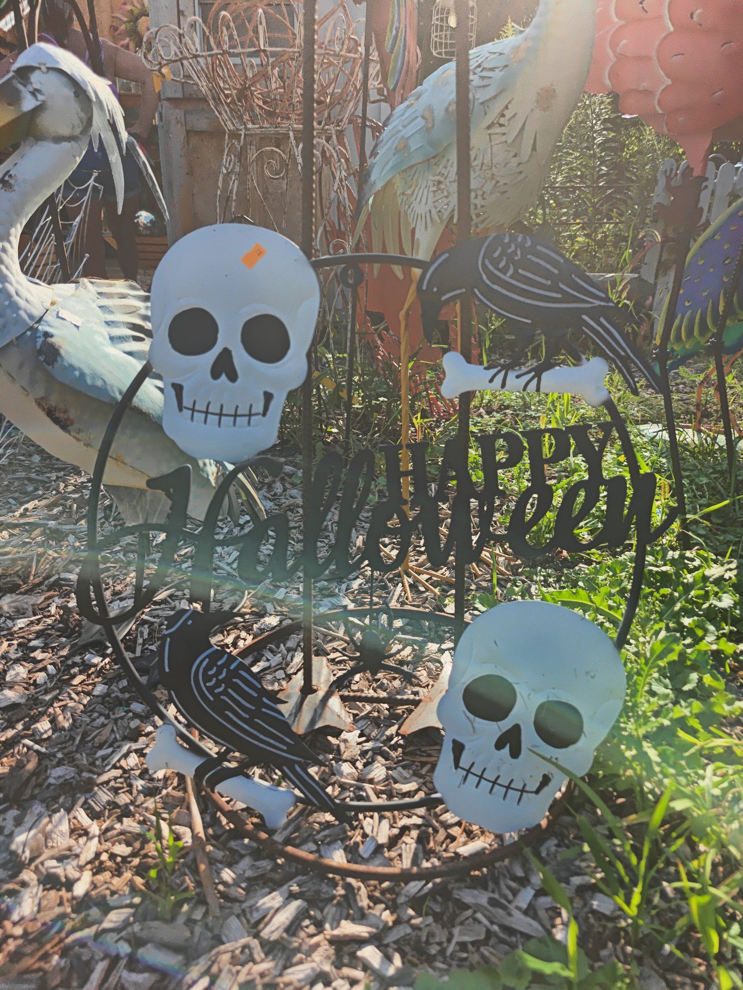 Happy Halloween Skull And Crows Wall Circle